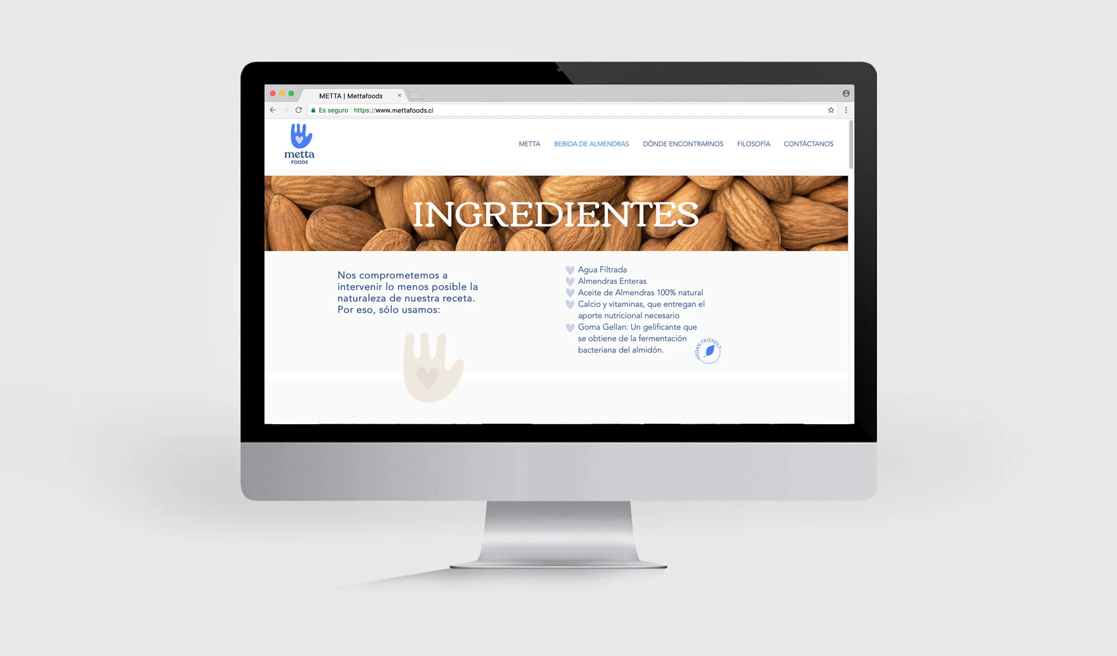 07  holateamo+diseno+grafico+chile+graphic+design+brand+id+metta+maria+jose+munoz+cox+diseno+web+identidad2.jpg