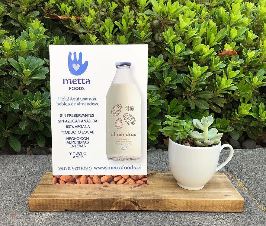 04 holateamo packaging ilustrado alimentacion saludable+diseno+grafico+chile+graphic+design+brand+id+metta+maria+jose+munoz+cox+diseno+web+identidad2.jpg