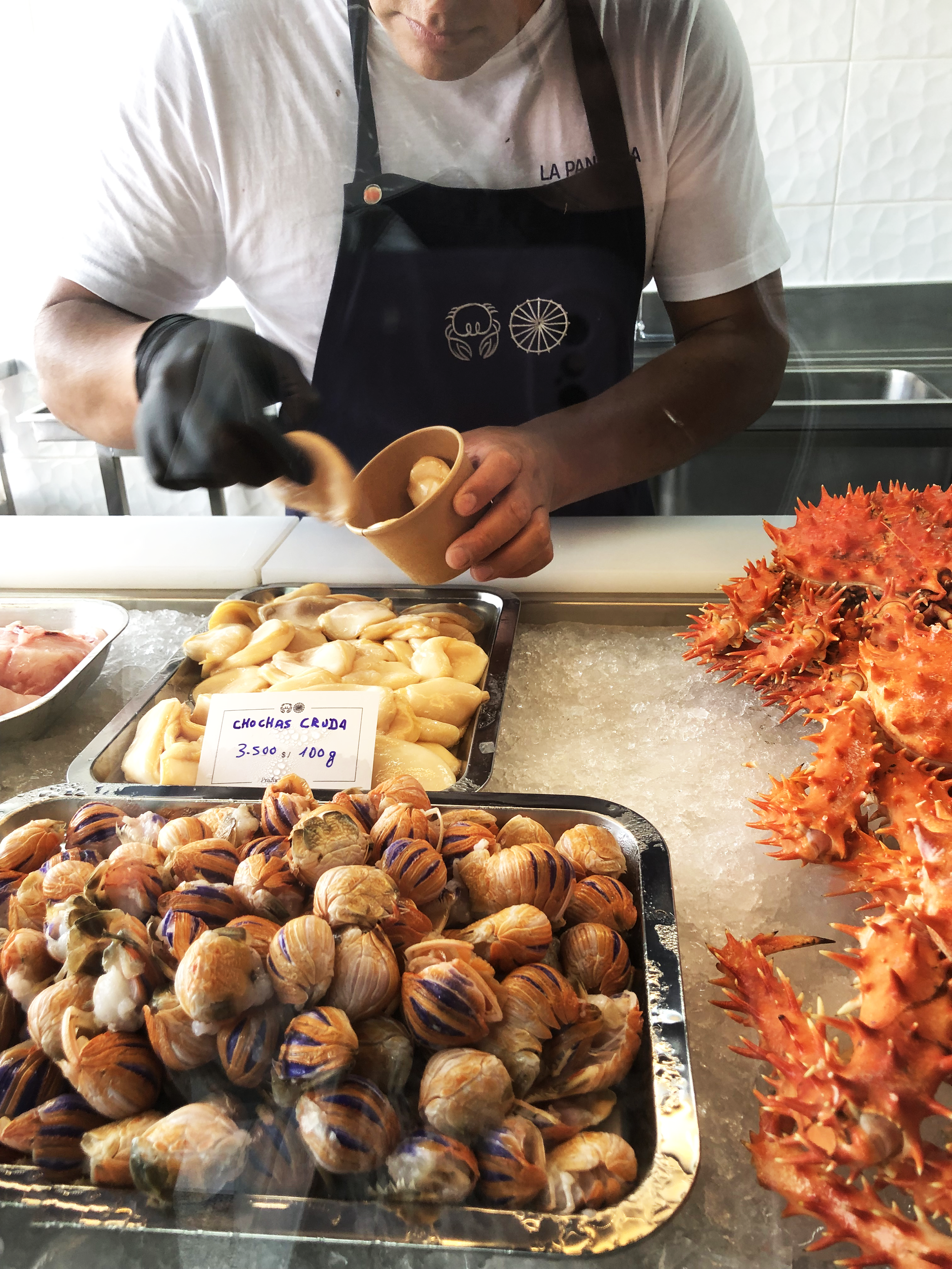 La pancora y El Erizo logotipo chile restaurant cachagua holateamo maria jose muñoz cox branding 07.png