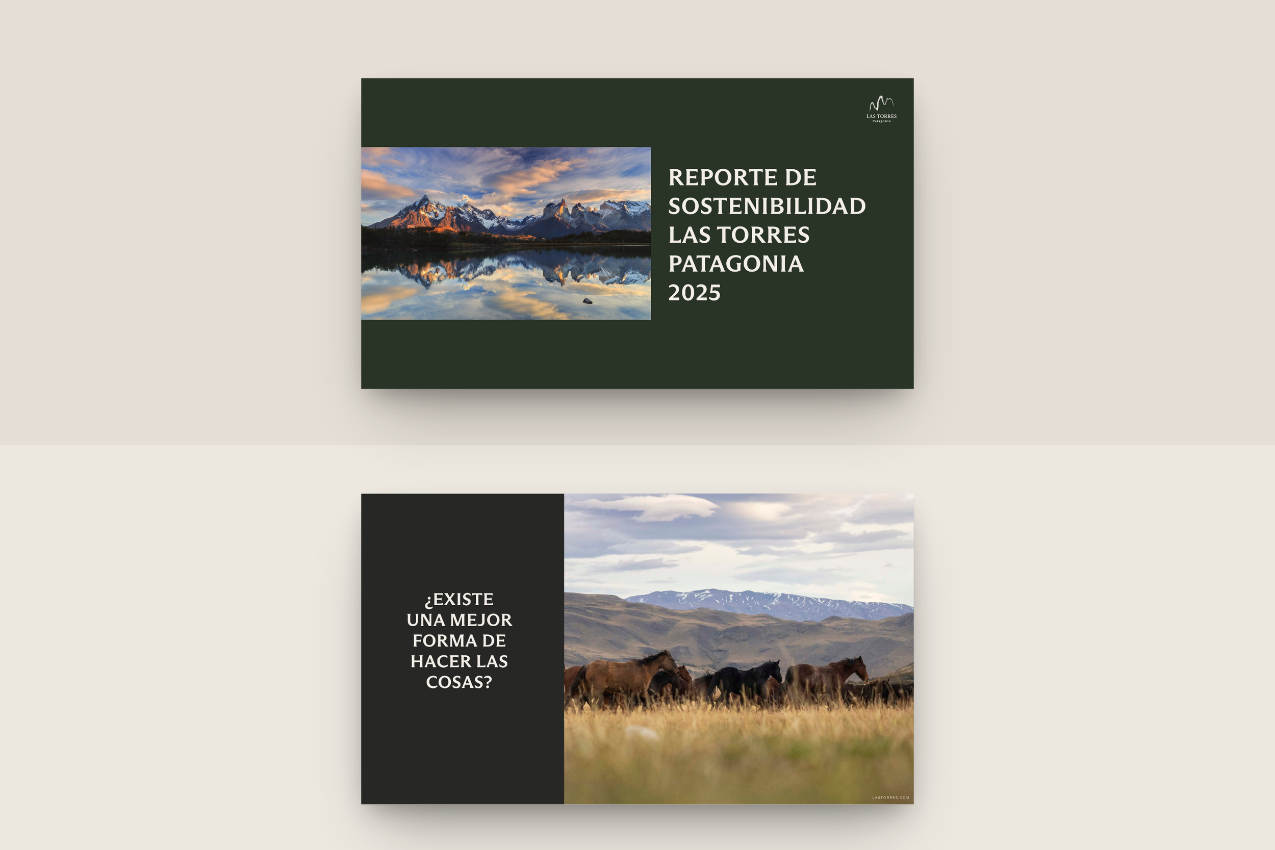 01 Diseño Reporte de Sustentabilidad LTP- Holateamo.png