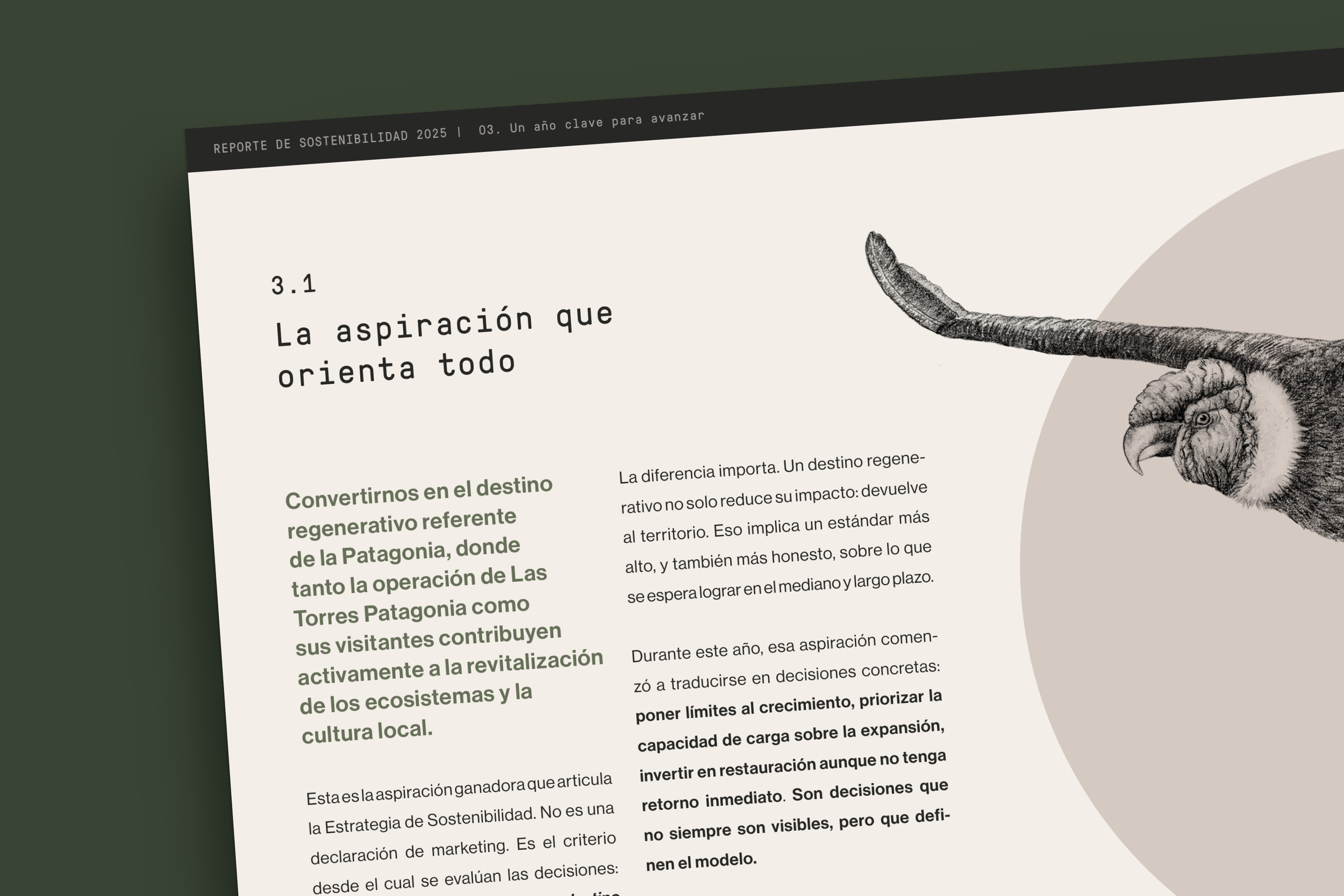 03 Diseño Reporte de Sustentabilidad LTP- Holateamo.png