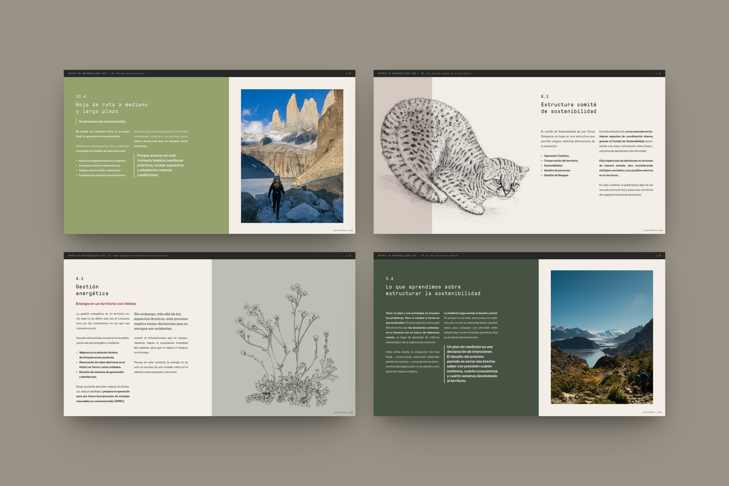05 Diseño Reporte de Sustentabilidad LTP- Holateamo.png