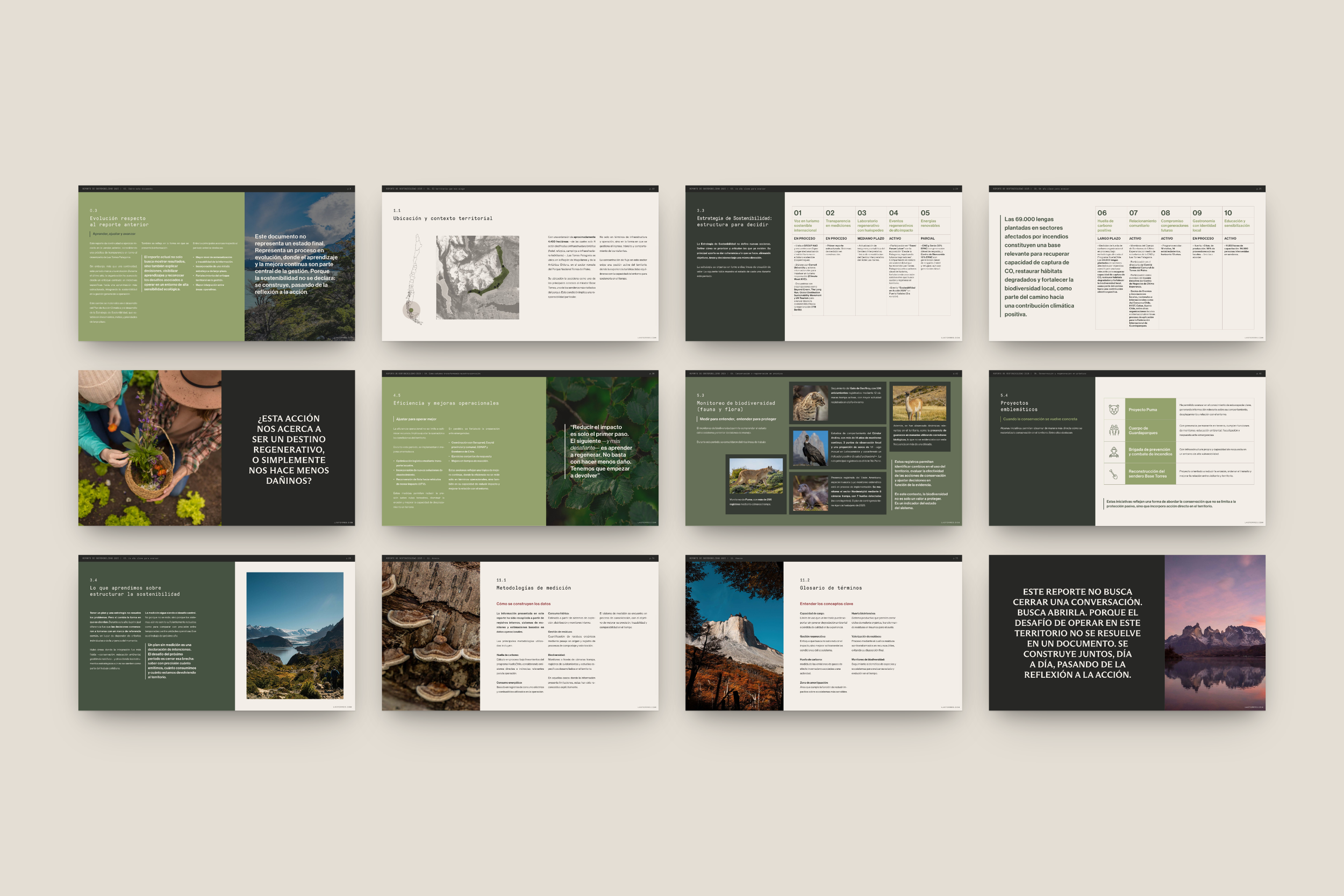 02 Diseño Reporte de Sustentabilidad LTP- Holateamo.png