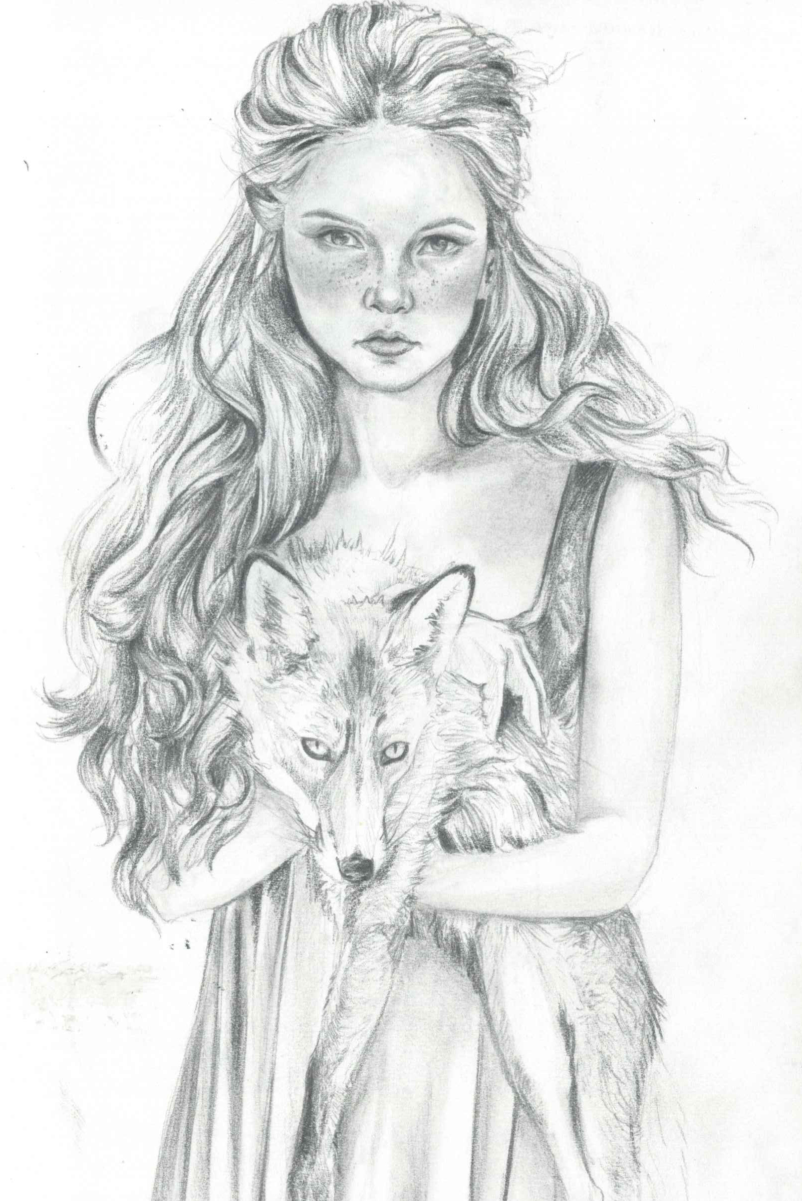 Foxy Sketch