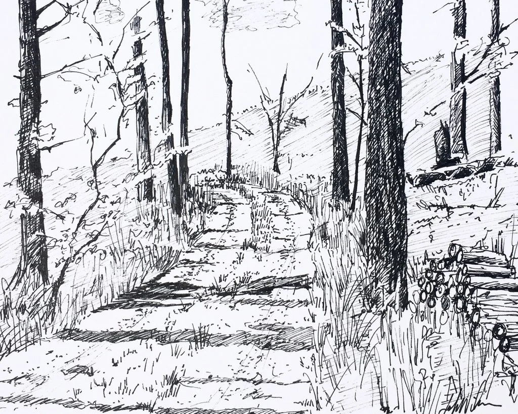 Drawing Landscapes with Pen and Ink - Monday, August 14th 6:30 - 8:30pm
