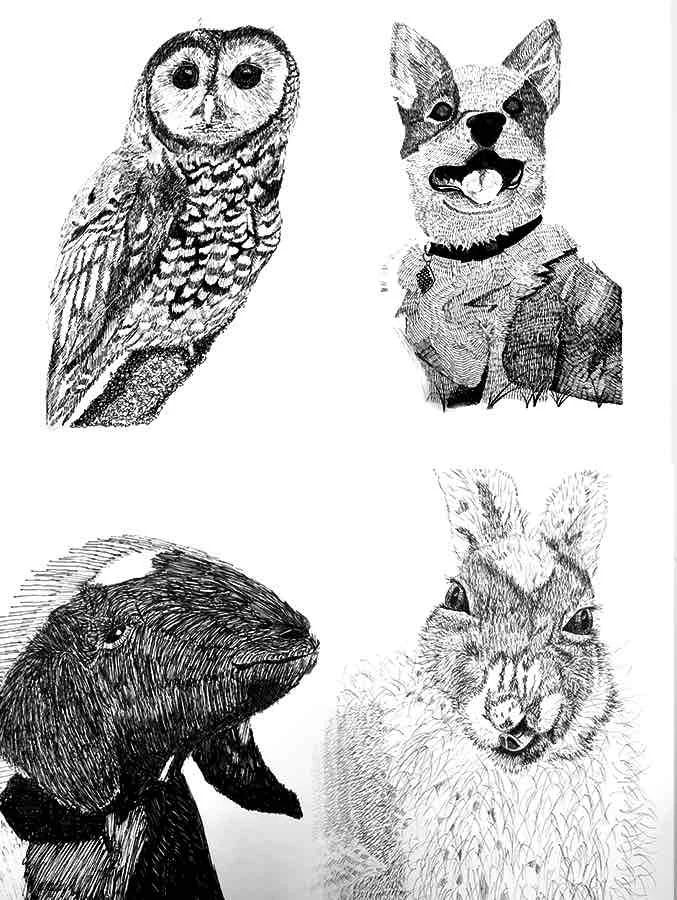Pets with Pen and Ink