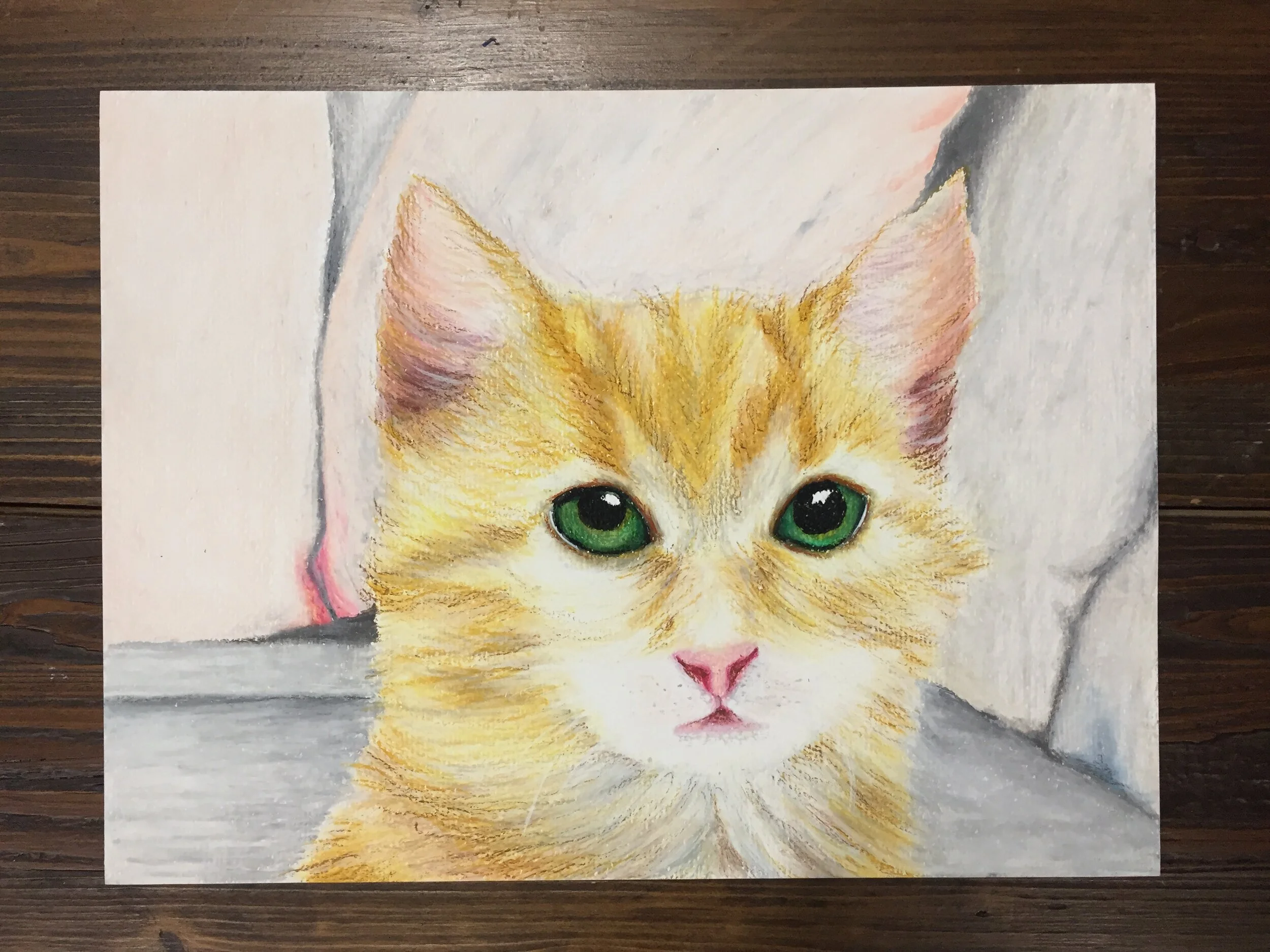 Oil Pastel Animals - Starting Thursday, February 6th 3:30-5:00pm