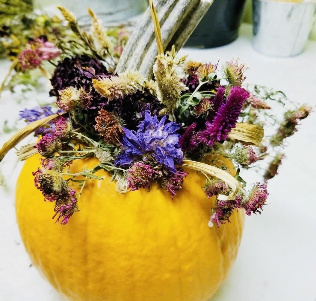 Dried Floral Pumpkin Arrangement - Sunday, October 11th 1:00-3:00pm