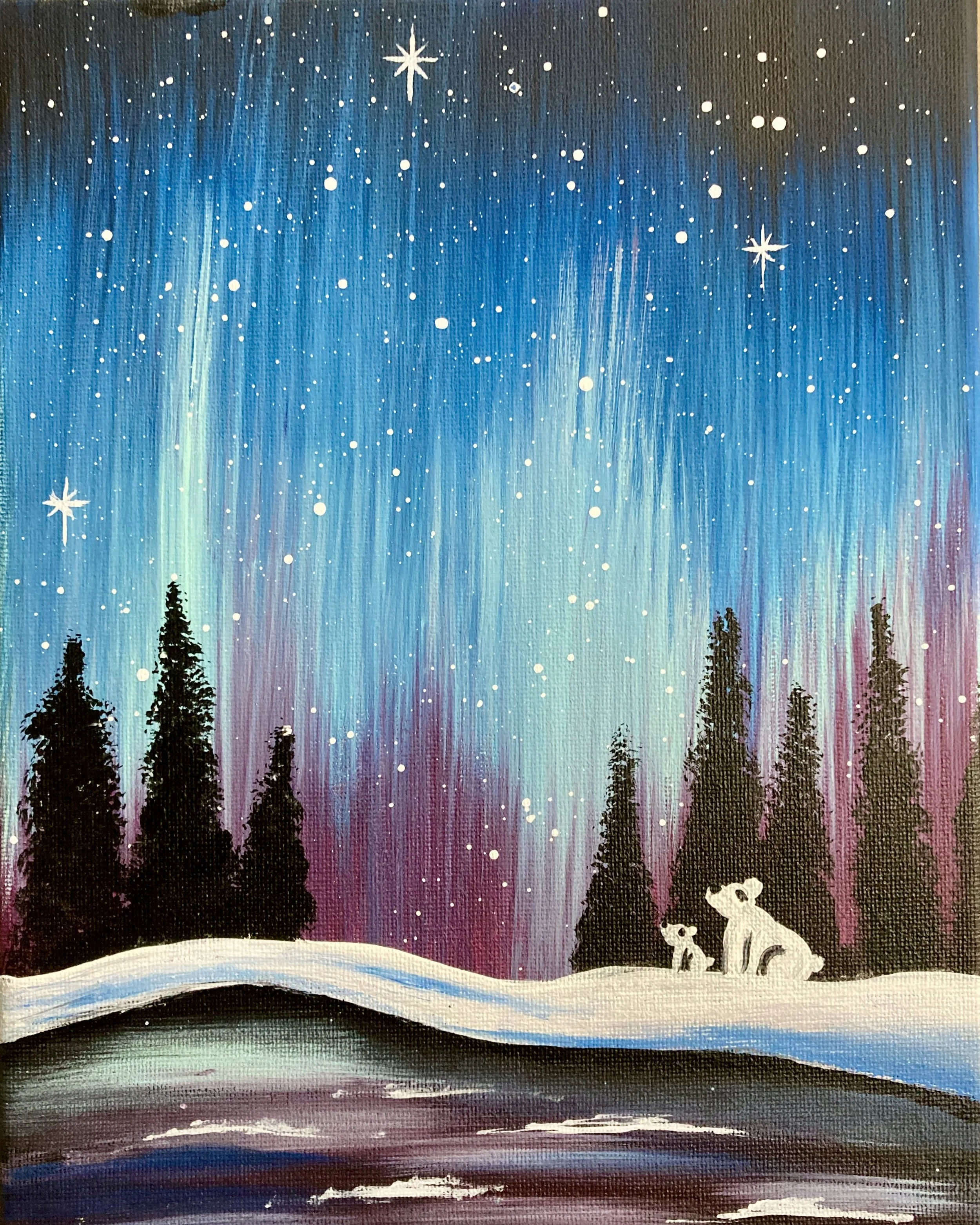 Polar Lights