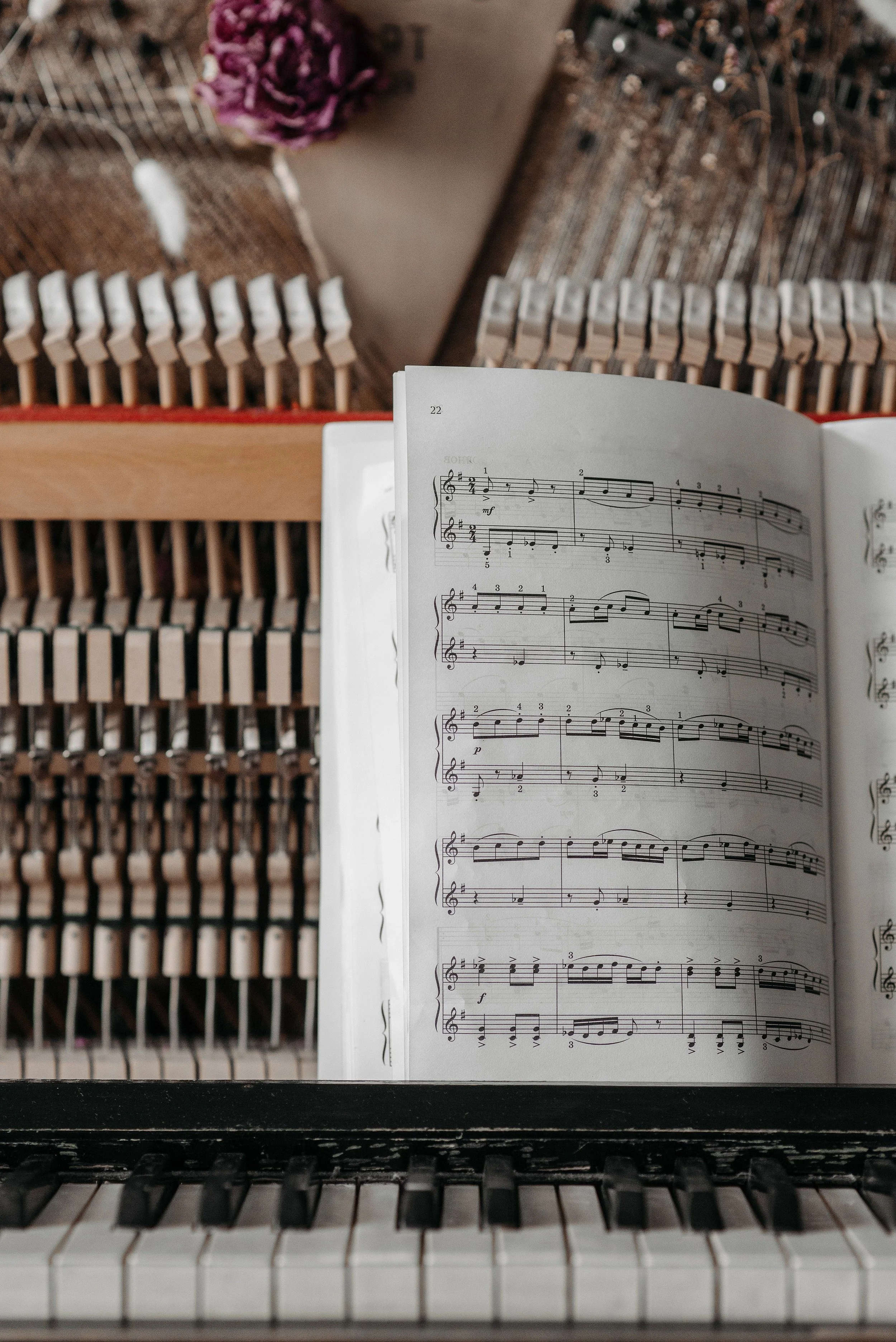 Wednesday Homeschool Music Class Ages 8-18 (September-October)
