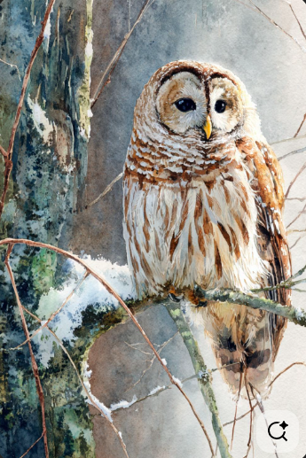 Watercolor Painting Class Ages 10-Adult (January)