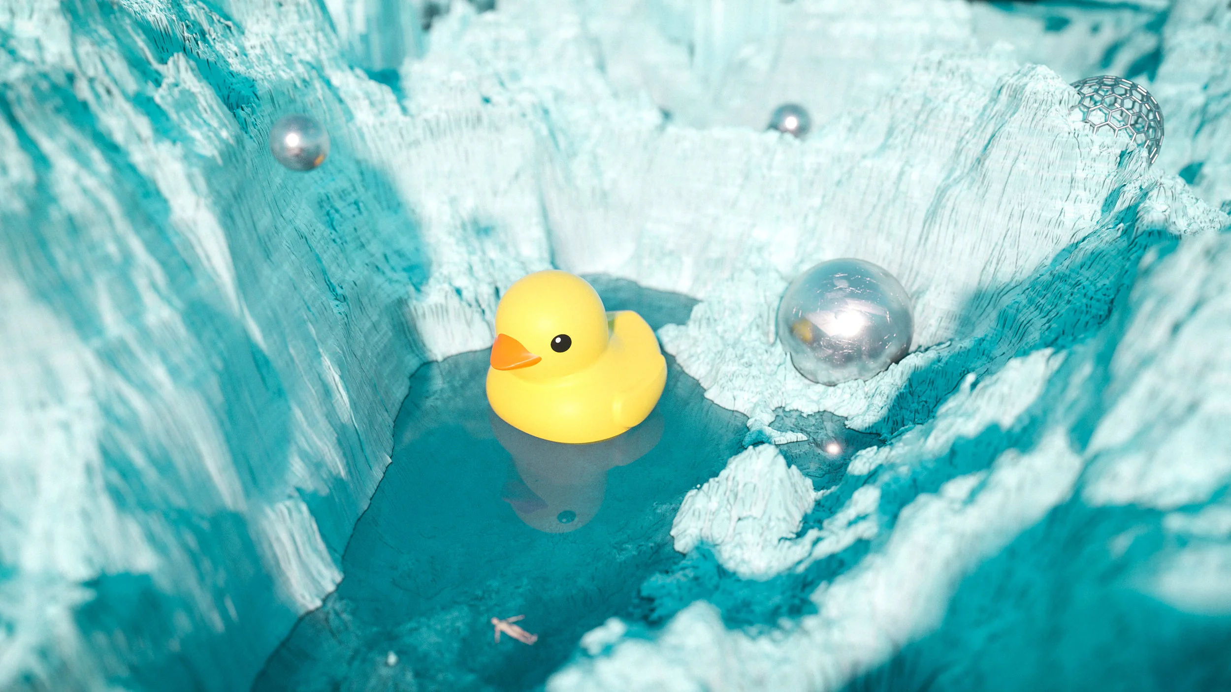 Day_01_Duck_0001.jpg