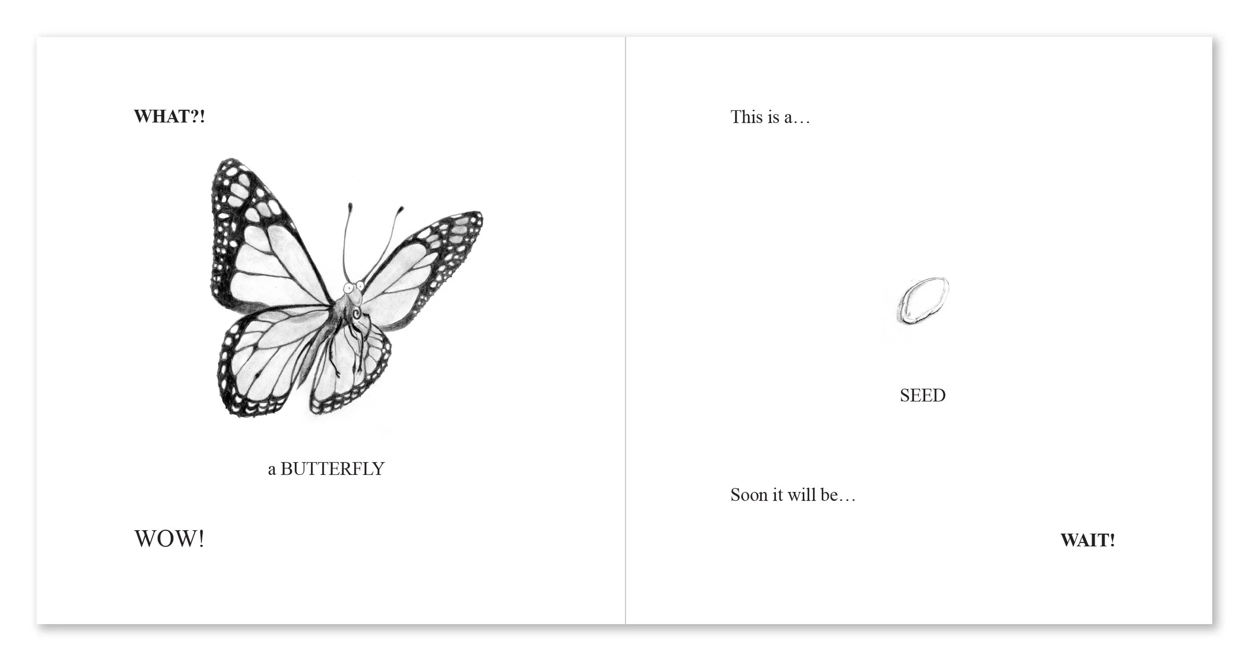 WaitWhatWOW_rough_0002_Pages_4-5.jpg
