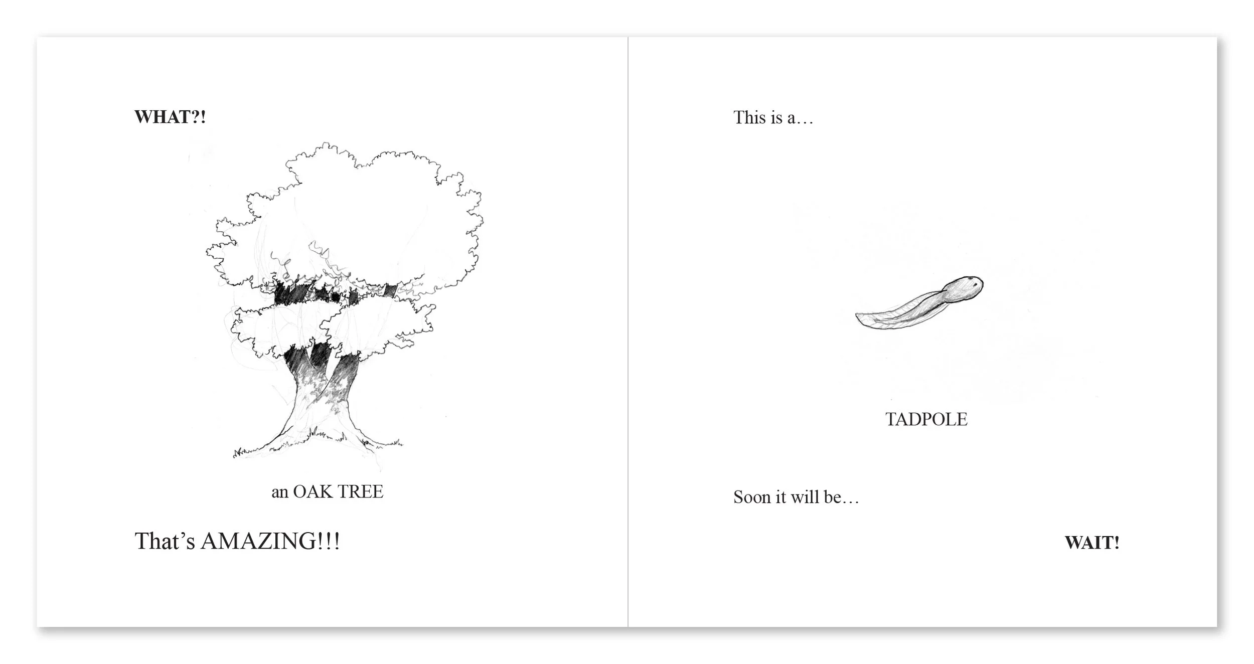 WaitWhatWOW_rough_0004_Pages_8-9.jpg