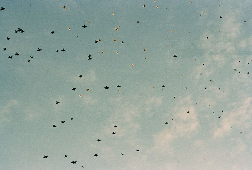 08.jpg