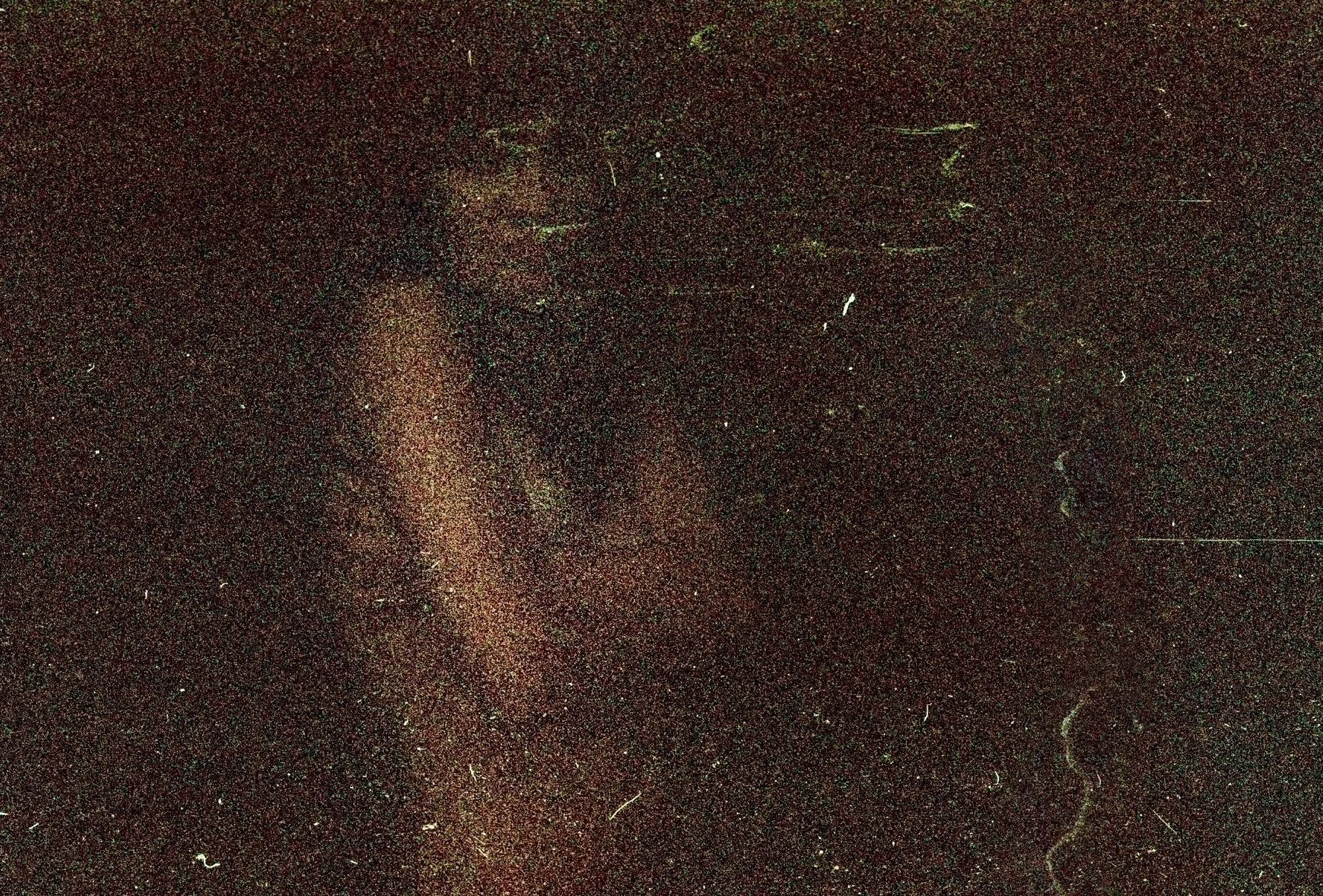 IMG_2213.jpeg