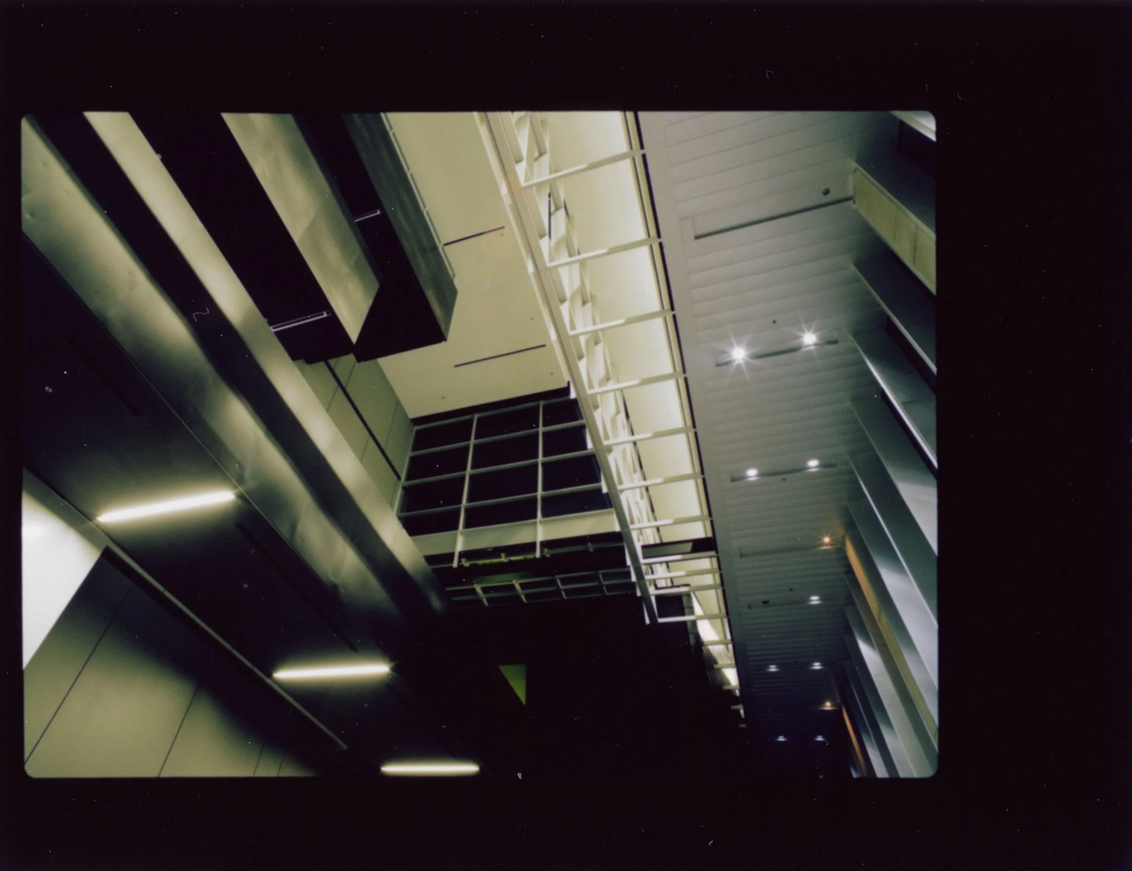 IMG_2209.jpeg