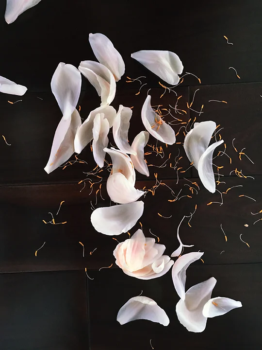 Petals