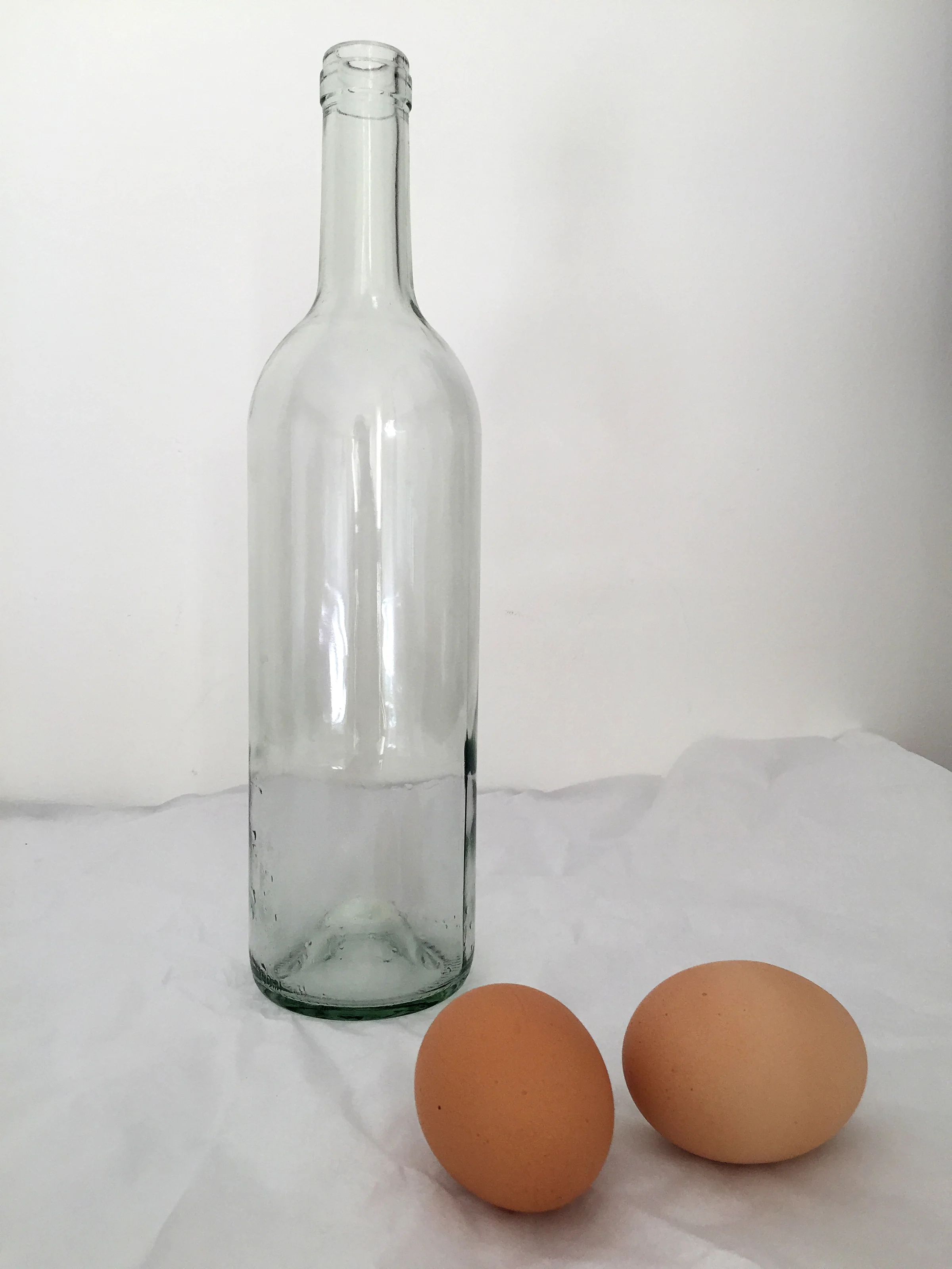 Bottles_with_eggs_Lekha_Singh.jpg