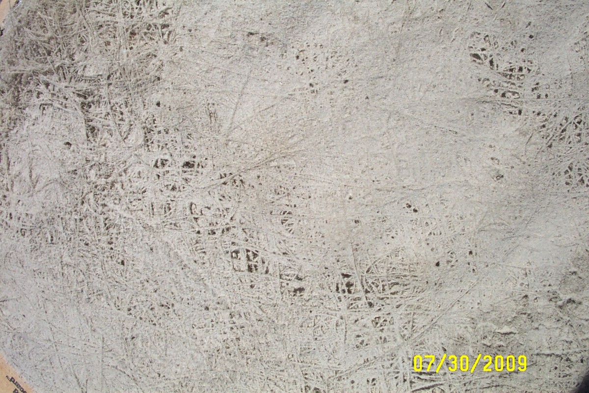 Filter close-up