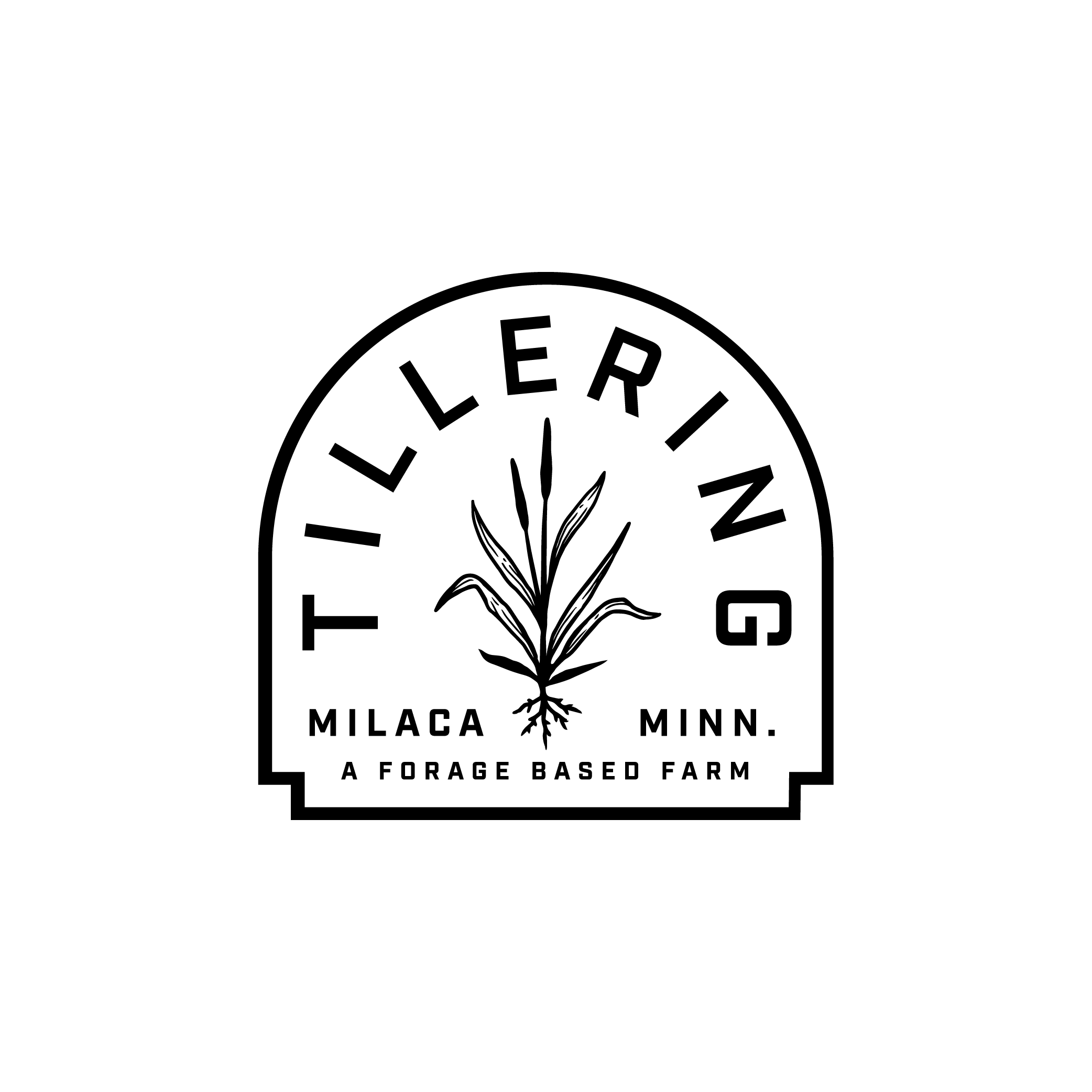 2024_Logos-12.png