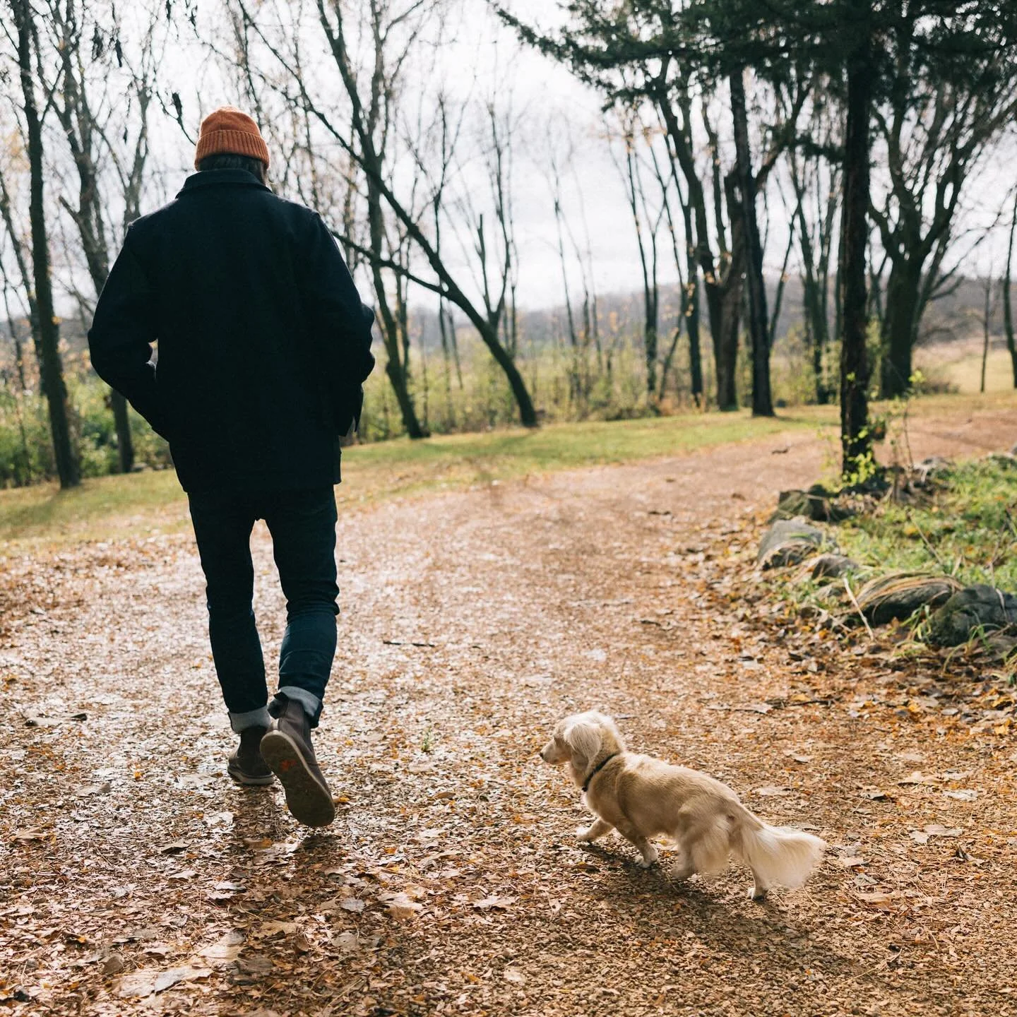 Surrounding yourself in nature is a great way to disconnect and ground yourself with reminders of the bigger picture. Bringing a canine companion is also strongly recommended.

📷 @blizel 

#nature #walks #hope
