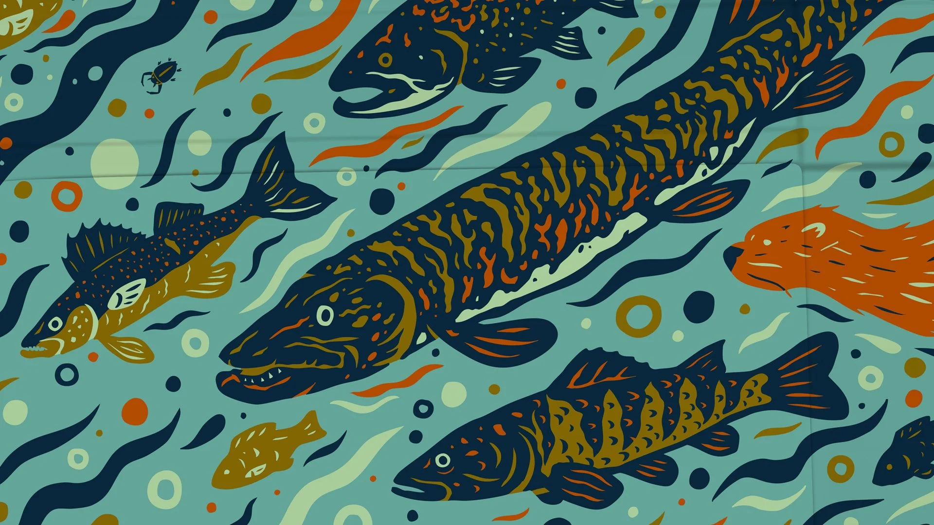 CU_Fish.jpg