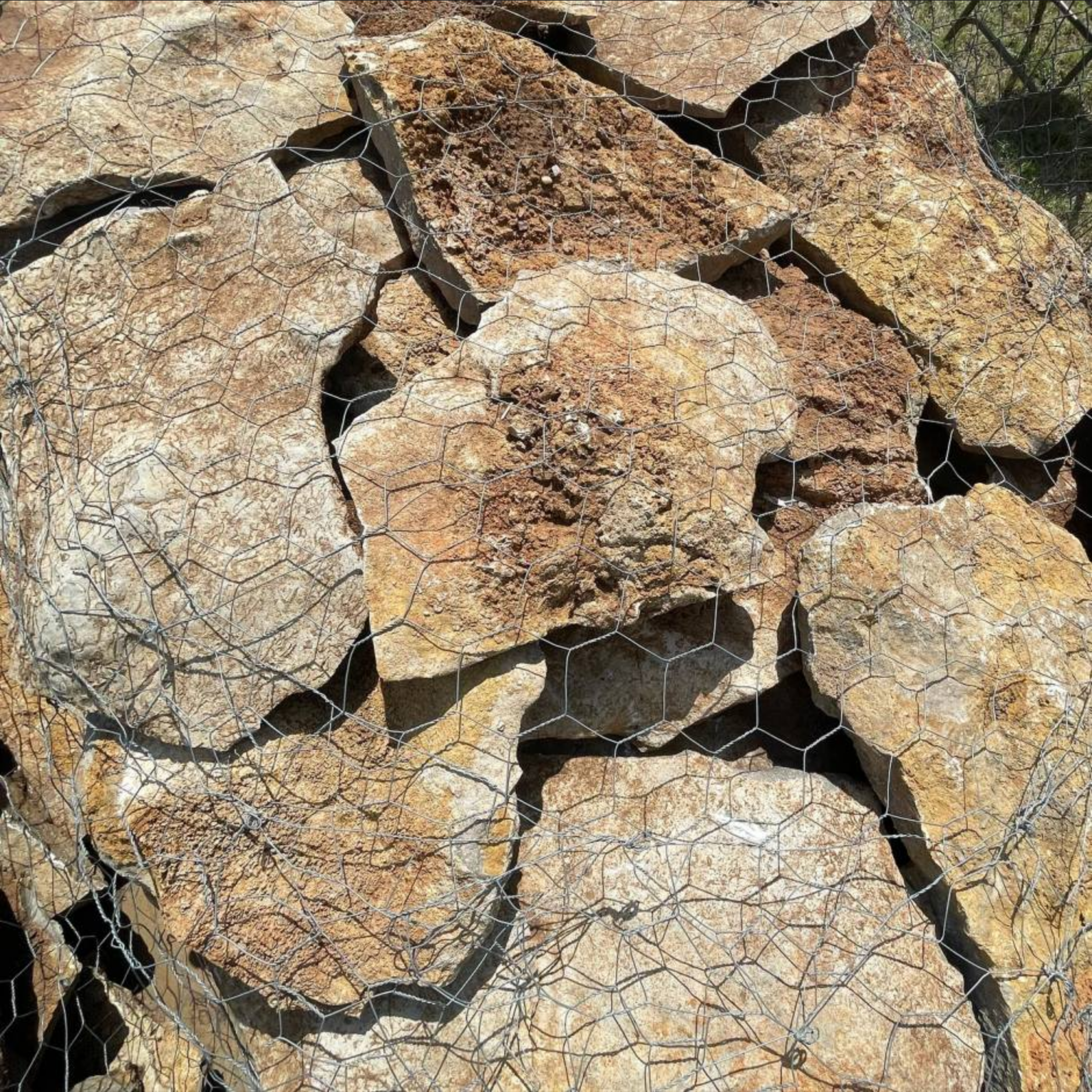 Screenshot 2026-08-24 at 14-21-42 Limestone-Flats-2.jpg (JPEG Image 940 × 940 pixels).png