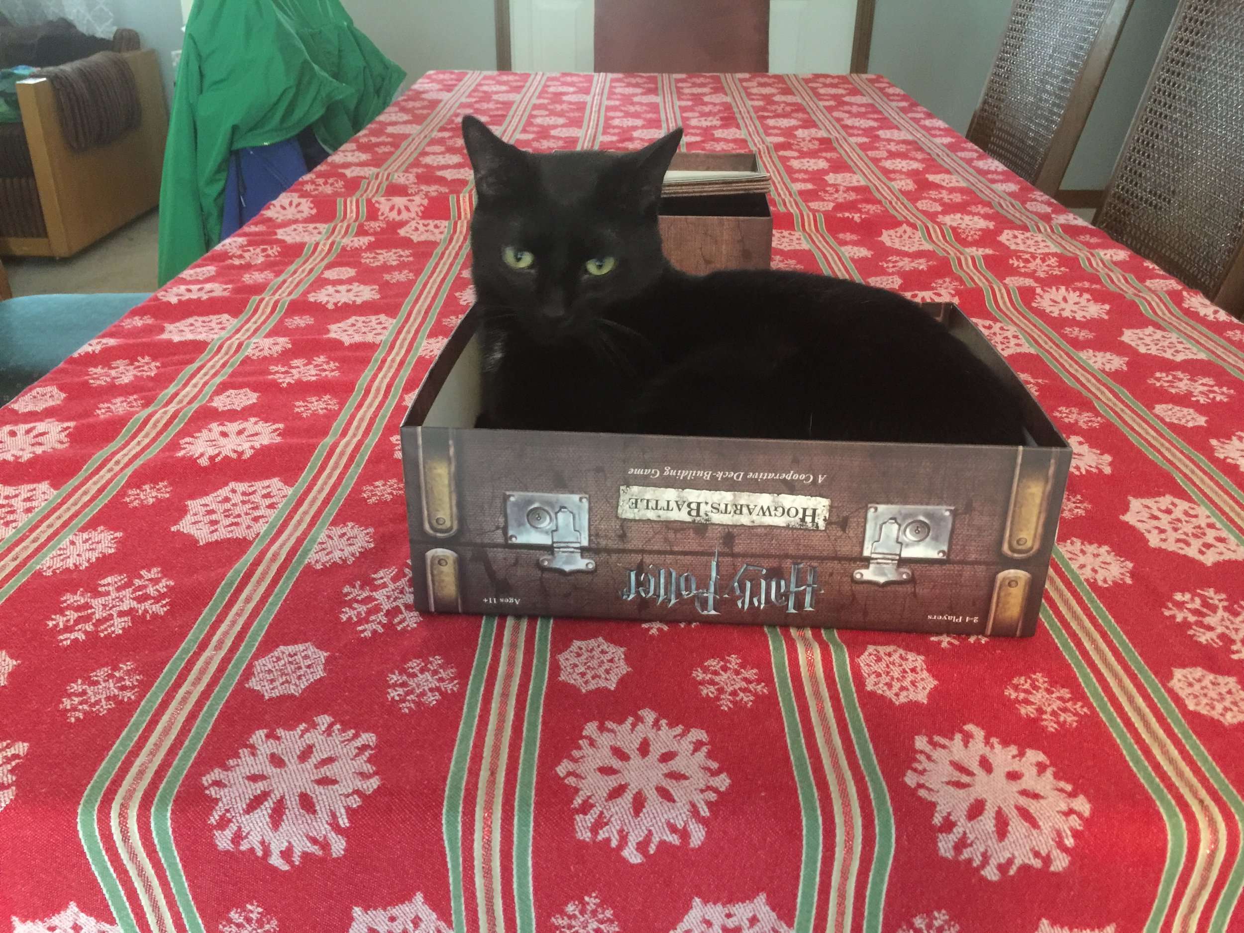 Spot in another box
