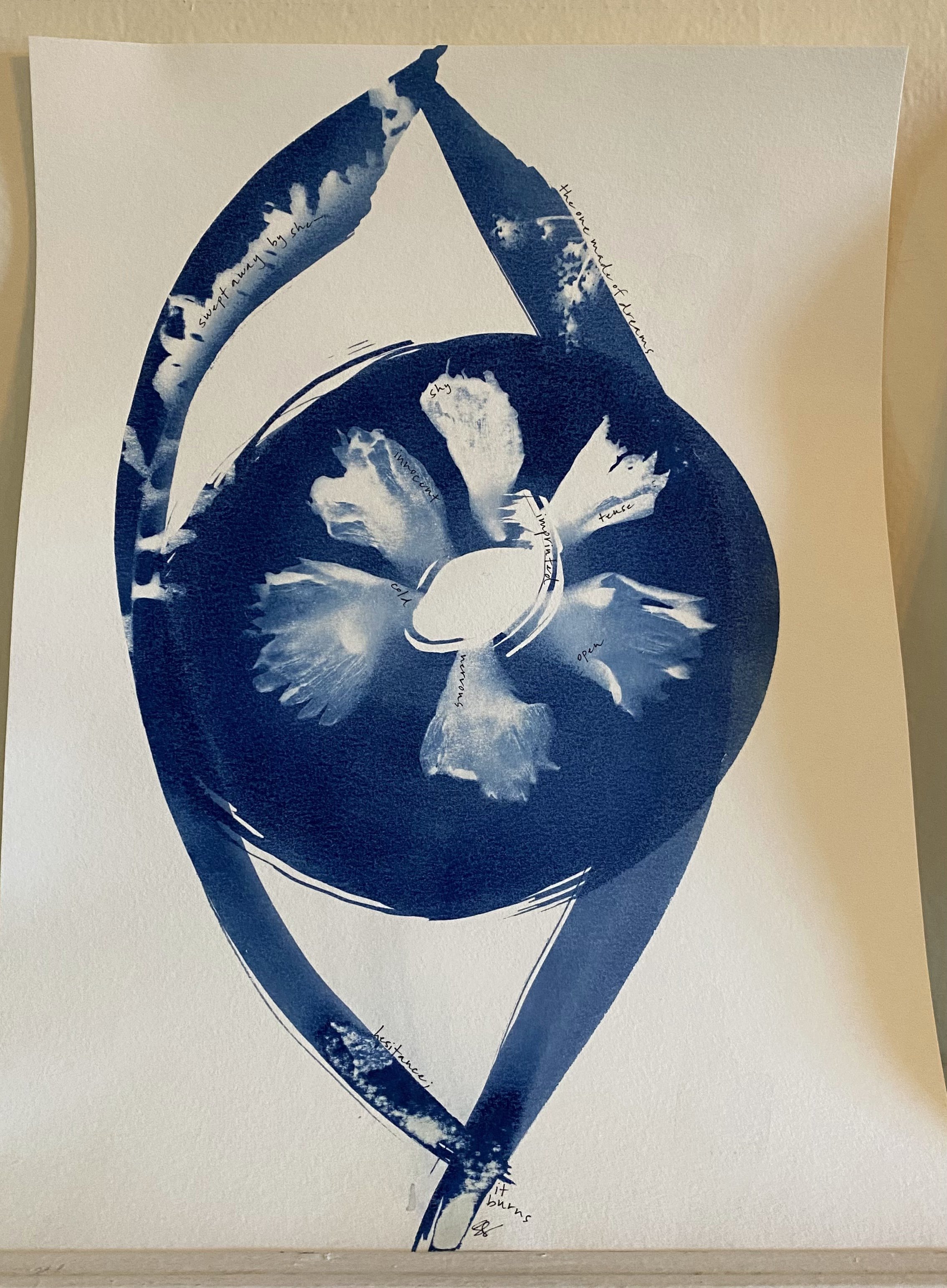 hesitance, 07062025. cyanotype on paper. GIFTED