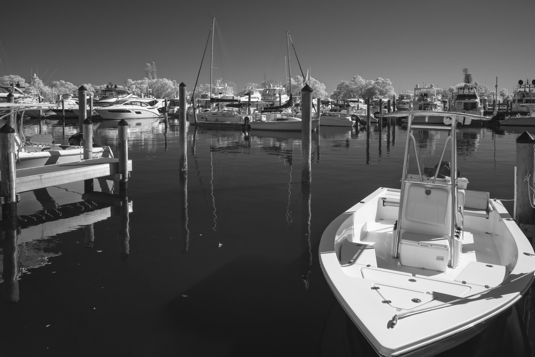 Boats and Dock, Sarasota, 2022