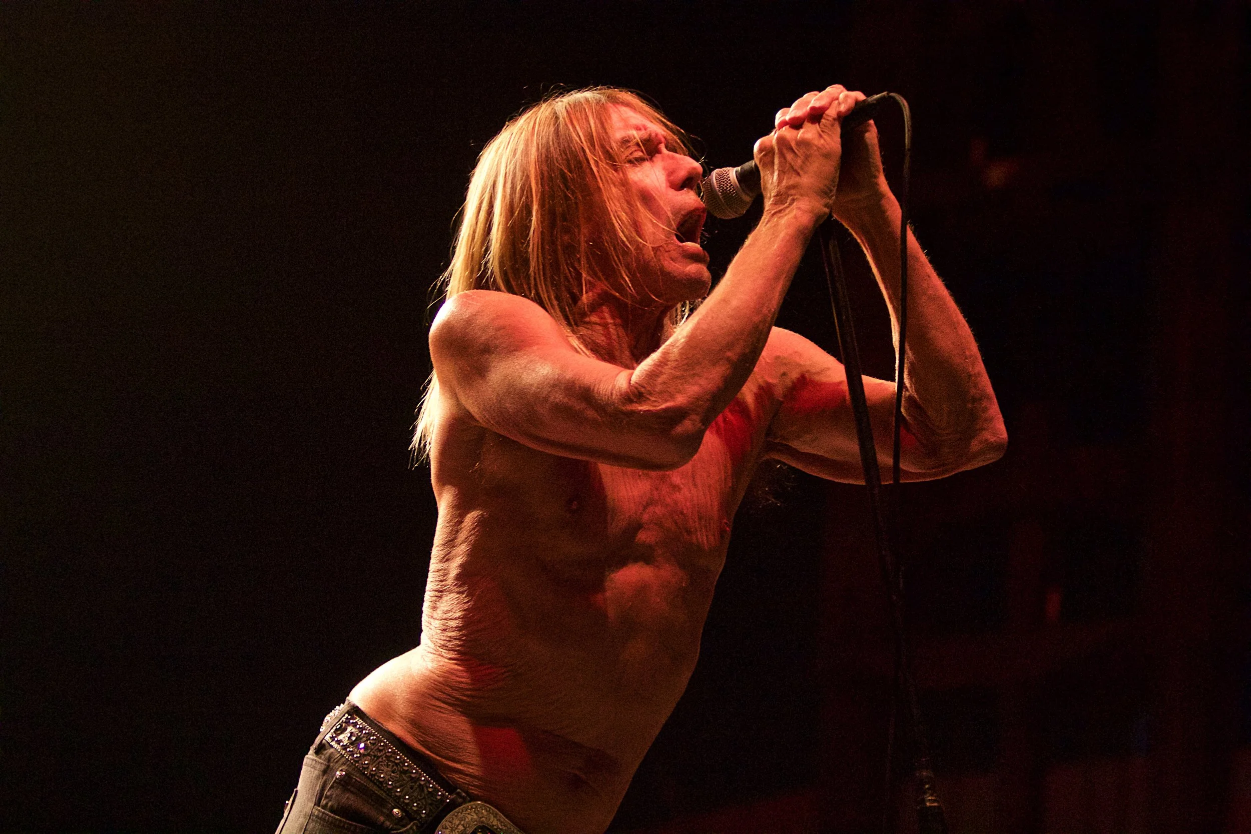 Iggy Pop (Copy)