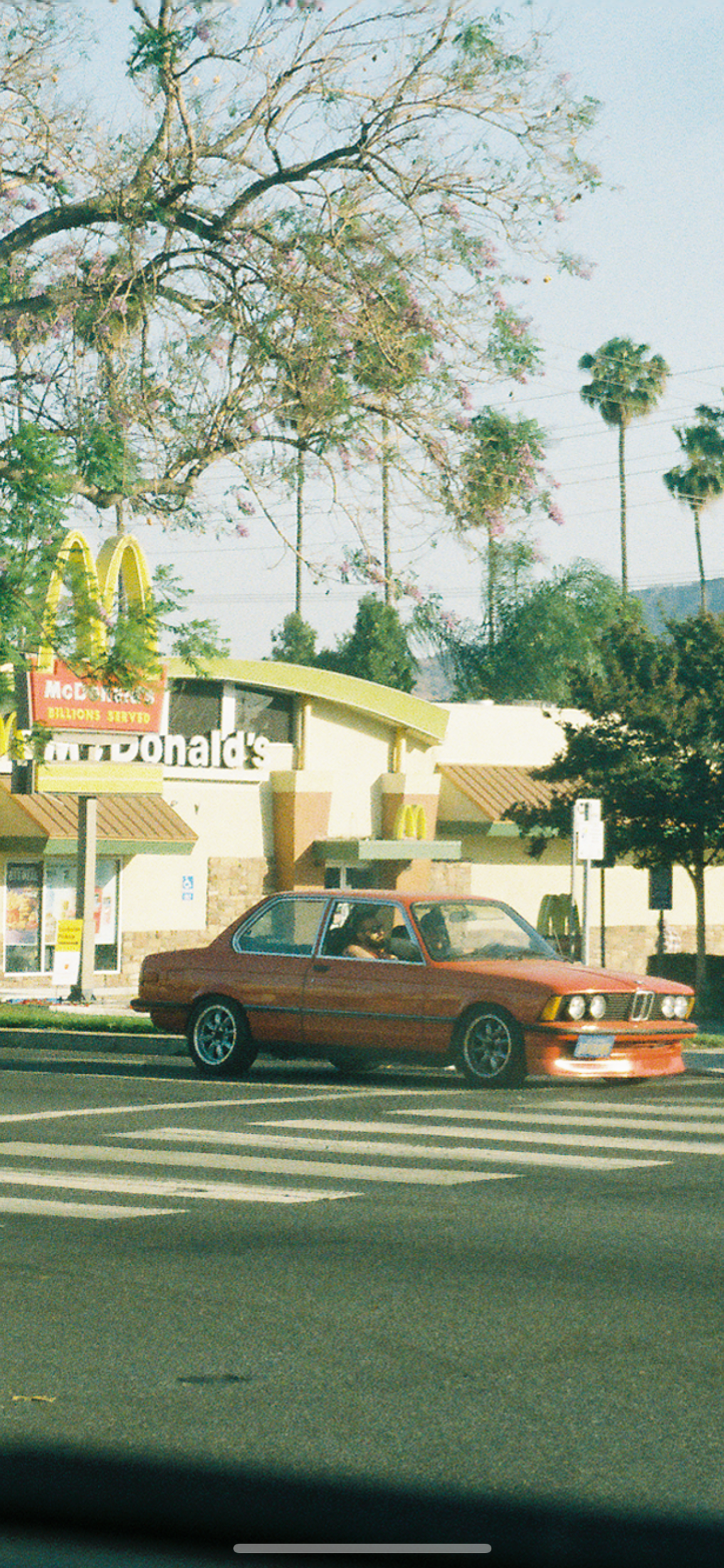 IMG_6208.png