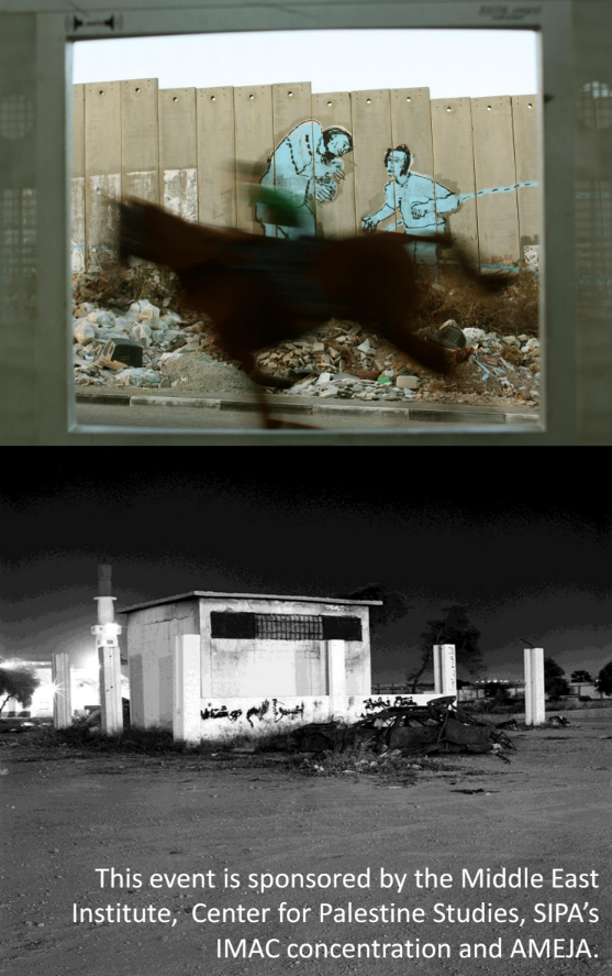 Photography in Spaces of Violence: Politics of Witness in Occupied Palestine and Libya