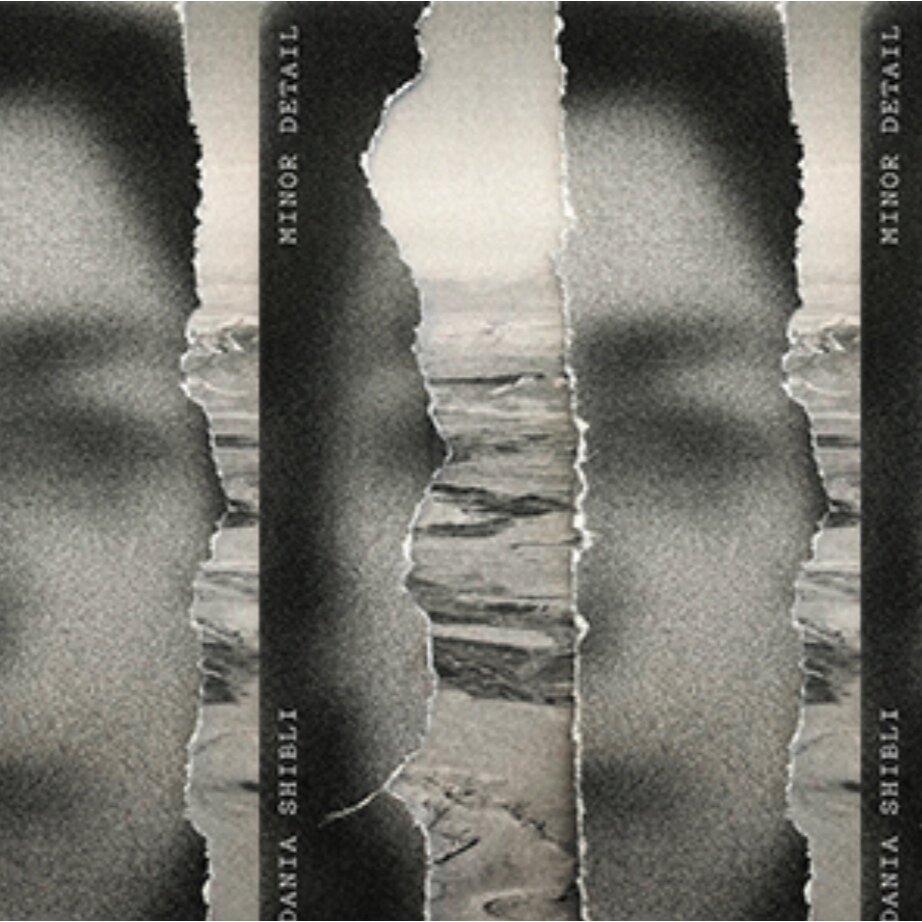 Minor Detail: A Salon in Honor of Adania Shibli