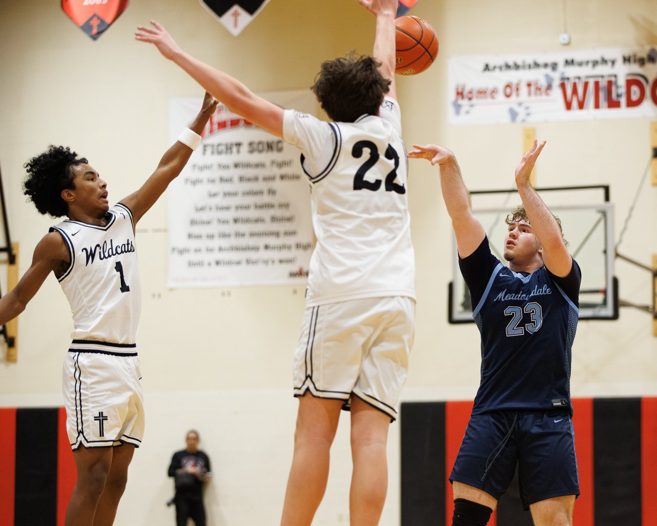 260102 - Murphy04 Marley.jpeg