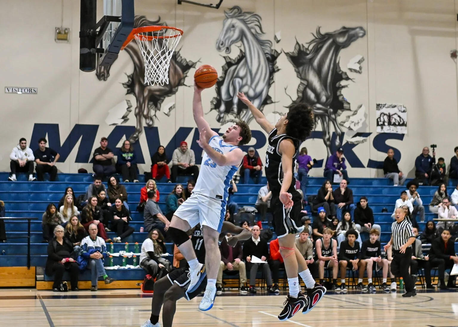 260123 - Terrace02 Marley.jpg