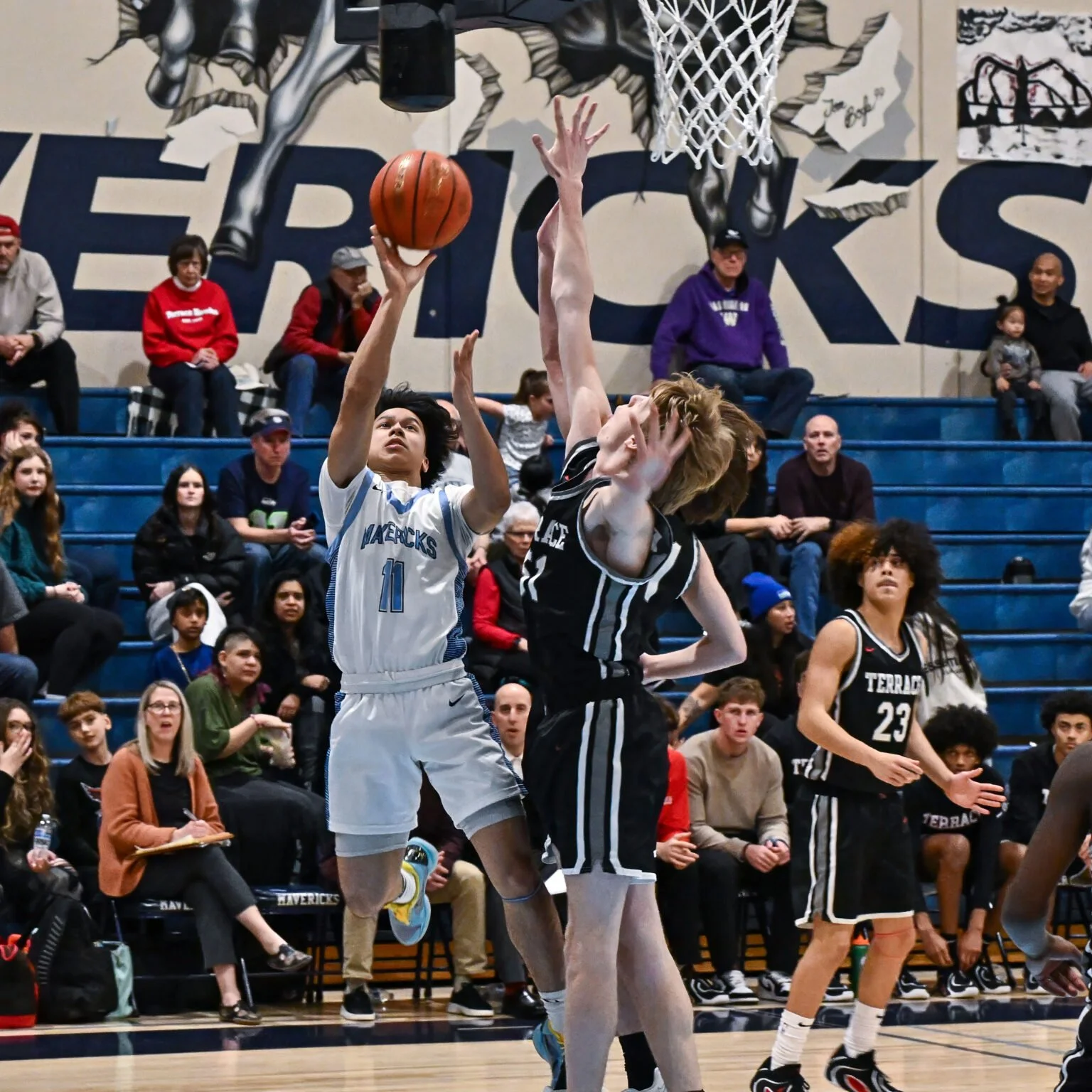 260123 - Terrace04 Nolan.jpg