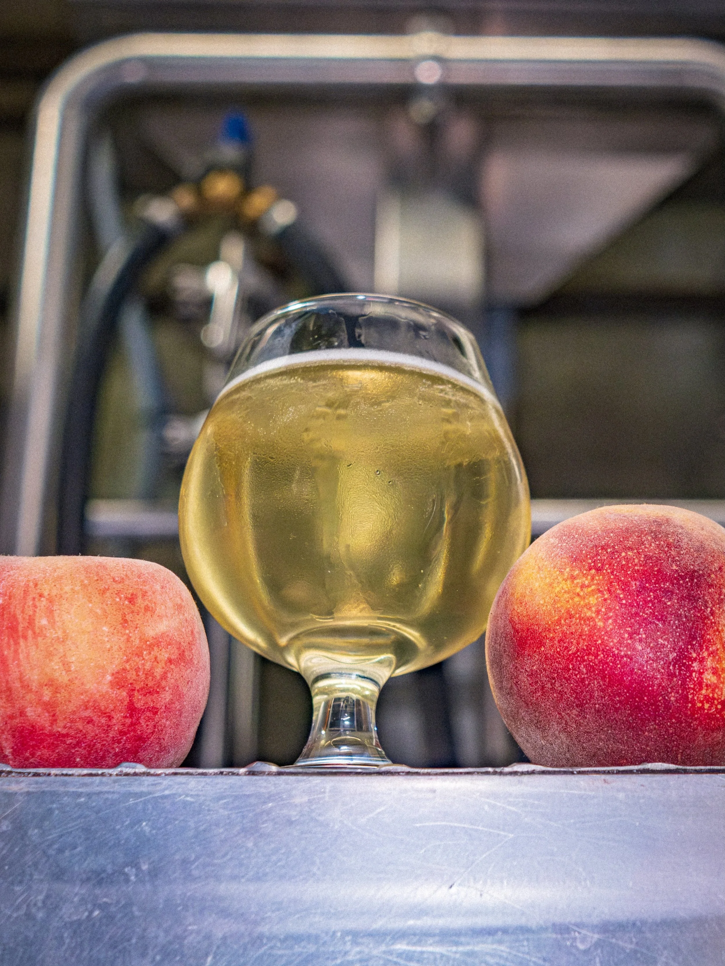 Are you more excited for Peach Season or Beach Season?

Why not both 🤝

We&rsquo;ve got a brand new Imperial Seltzer highlighting peaches just as beach season is &lsquo;round the corner here in South Bay.

𝗣𝗘𝗔𝗖𝗛 𝗟𝗜𝗙𝗘 | 𝗙𝗿𝘂𝗶𝘁𝗲𝗱 𝗦𝗲𝗹