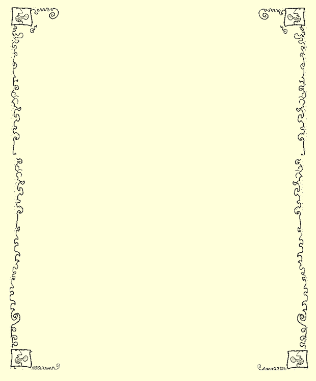 border.gif