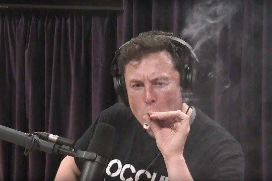 Elon Musk’s Marijuana Hypocrisy: Why Tesla CEO Isn’t The Hero Cannabis Users Want Him To Be