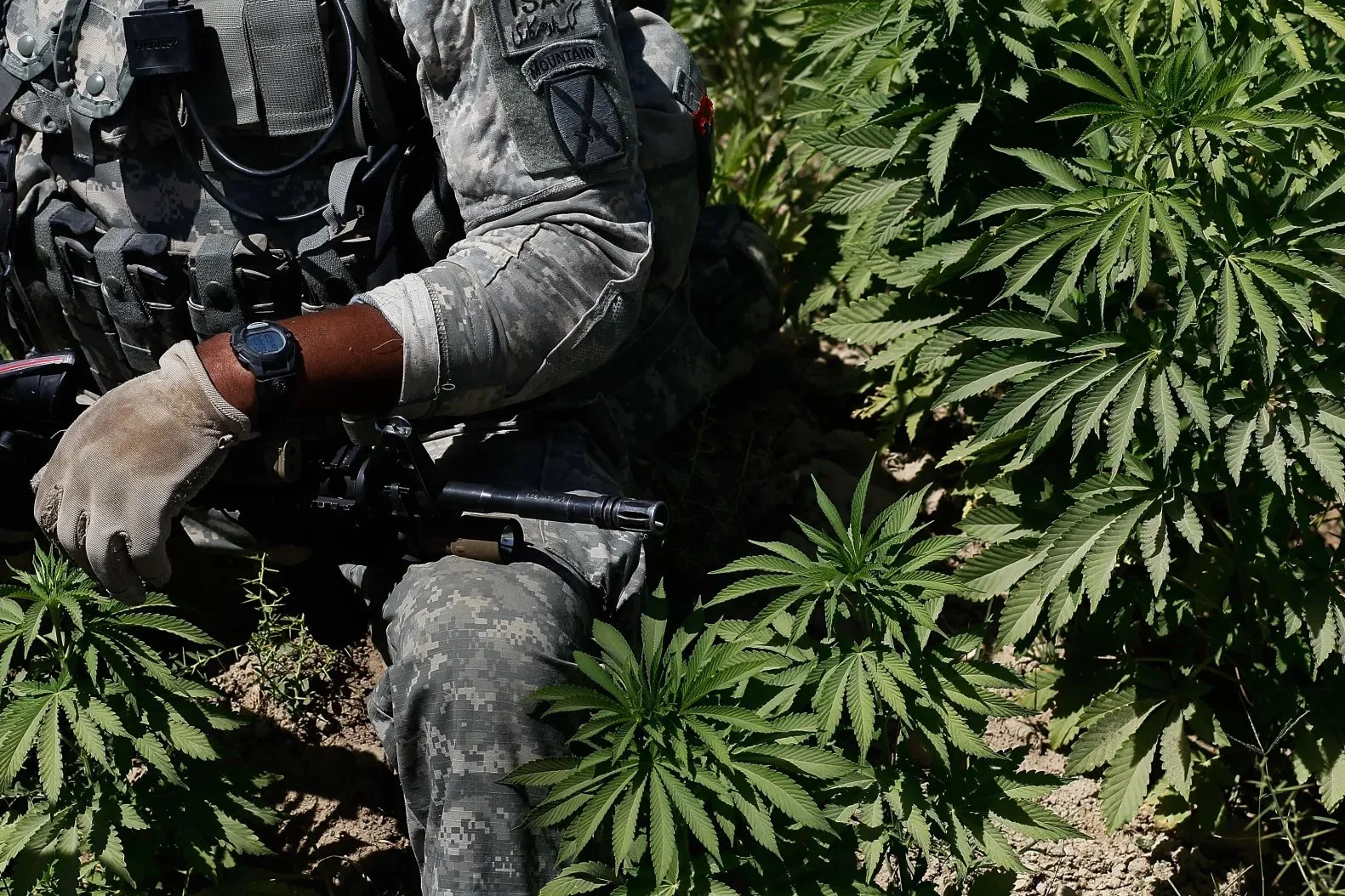 Veterans and Marijuana: the Highs and Lows of the VA’s Healthcare