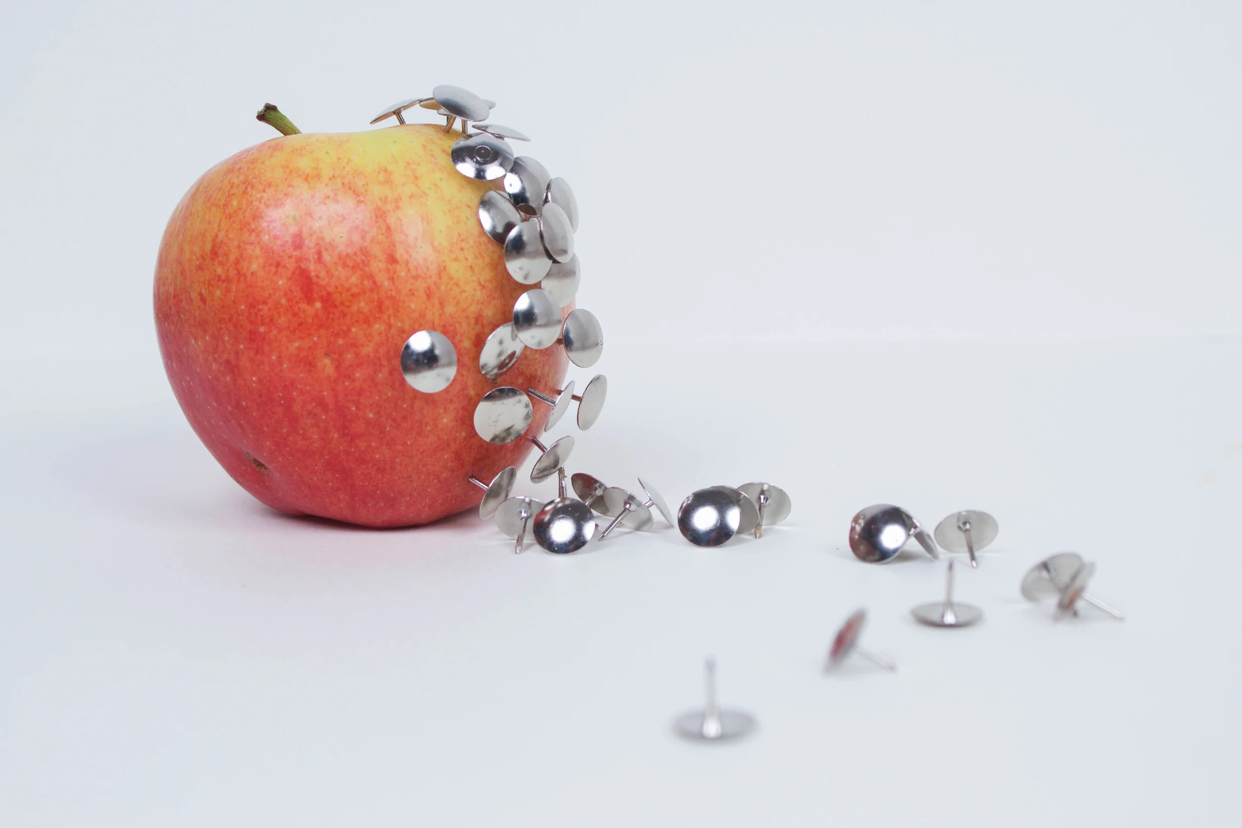 Apple_infest.jpg