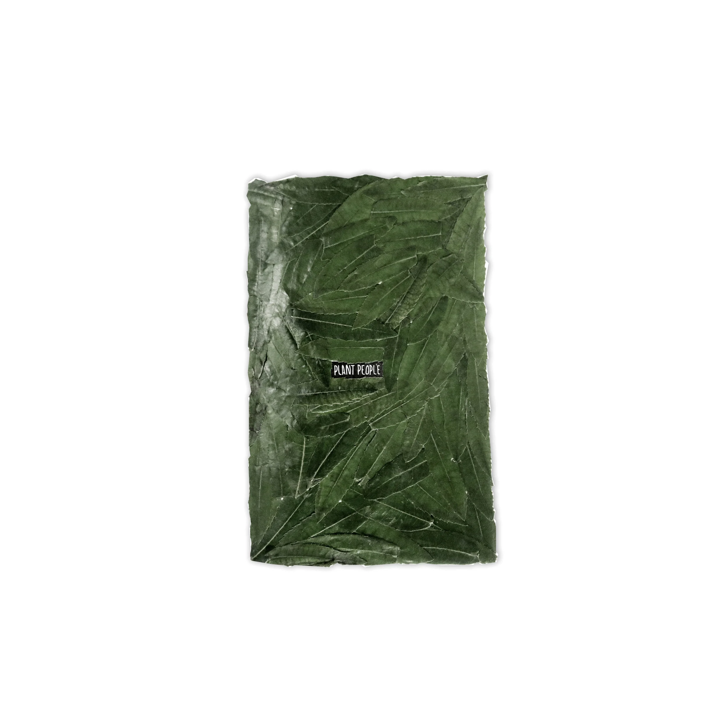plant people thumbnail copy.jpg
