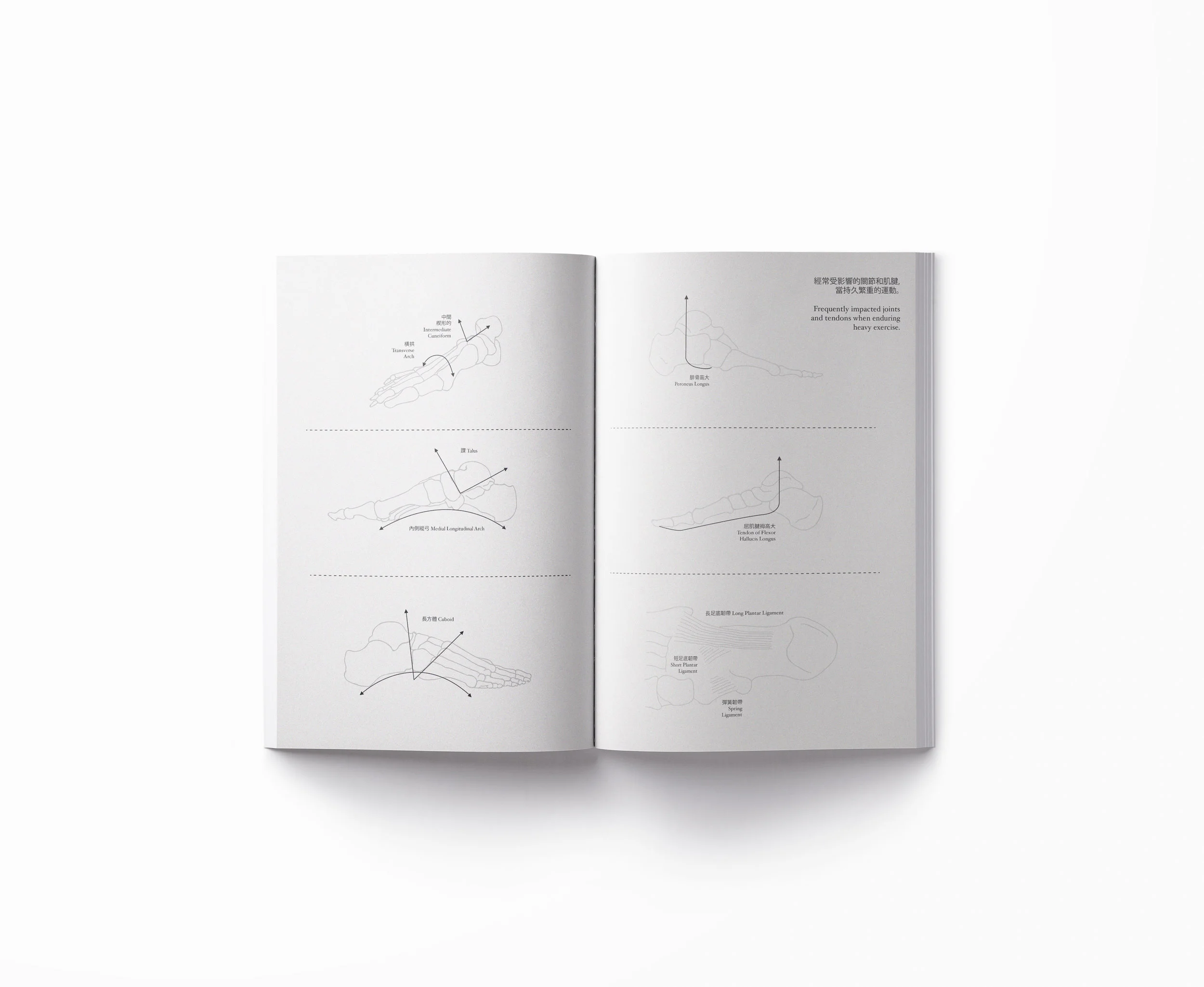 STPLFT_interactiveSpread01_lighter.jpg
