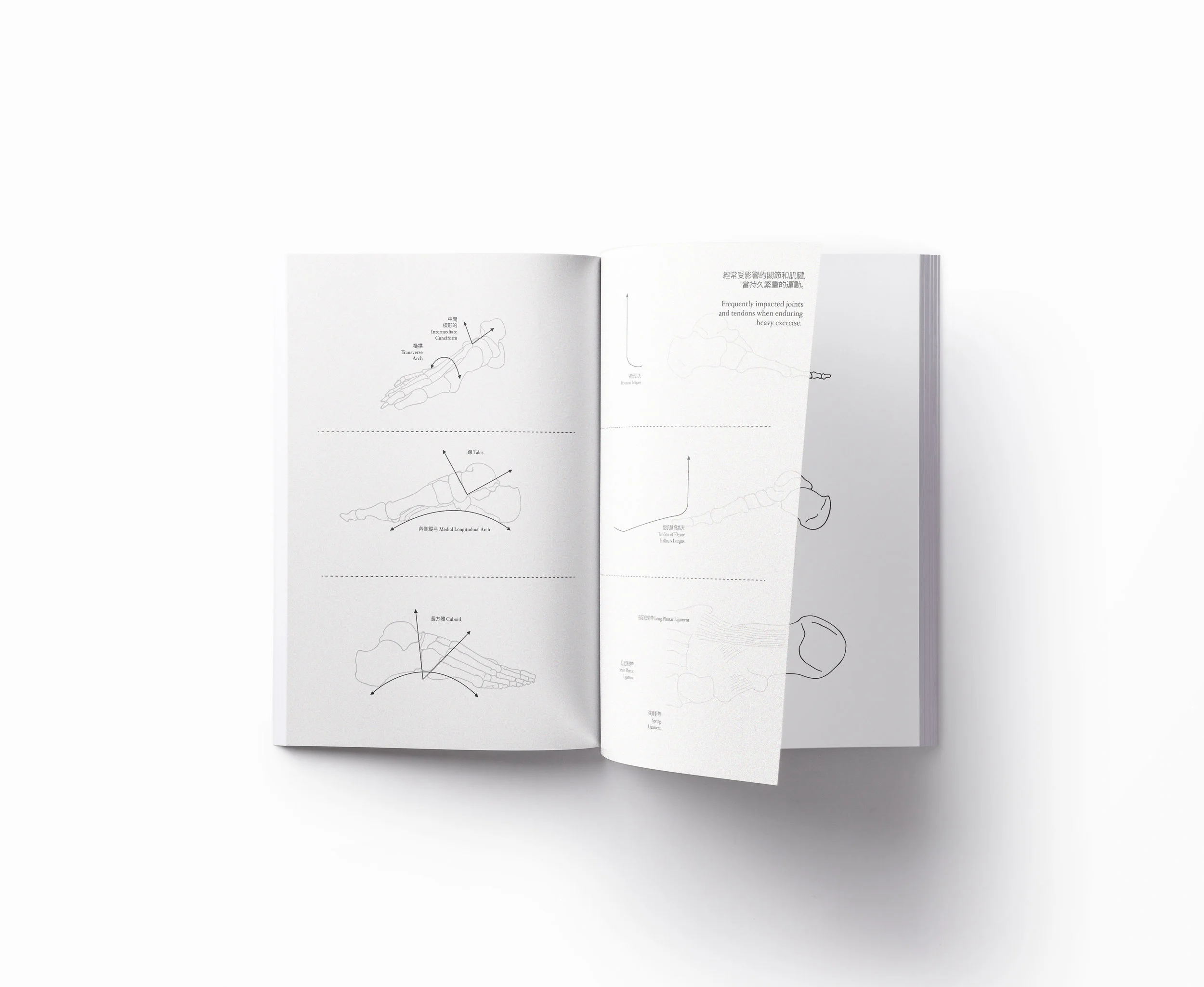 STPLFT_InteractiveSpread02_lighter.jpg