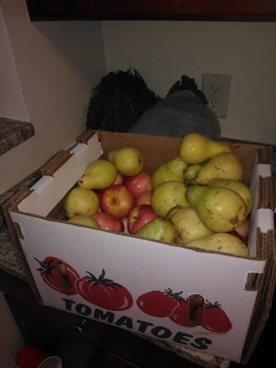 apples and pears to last a life time...or a week if you're jucing