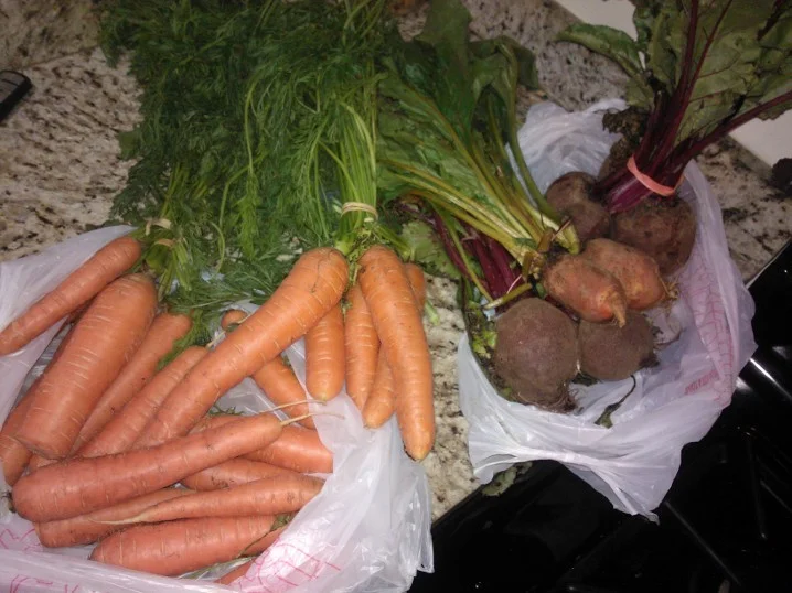 sand on my beets is evidence that these were plucked from the ground