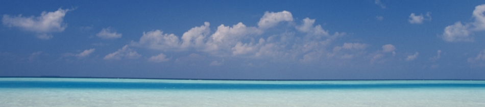 ZEN Spring Cruise Sale Ending Soon!