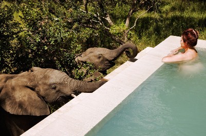 Micato Safaris Experts One of our top preferred luxury safari companies- for every African safari we book through Micato, they send a child to school